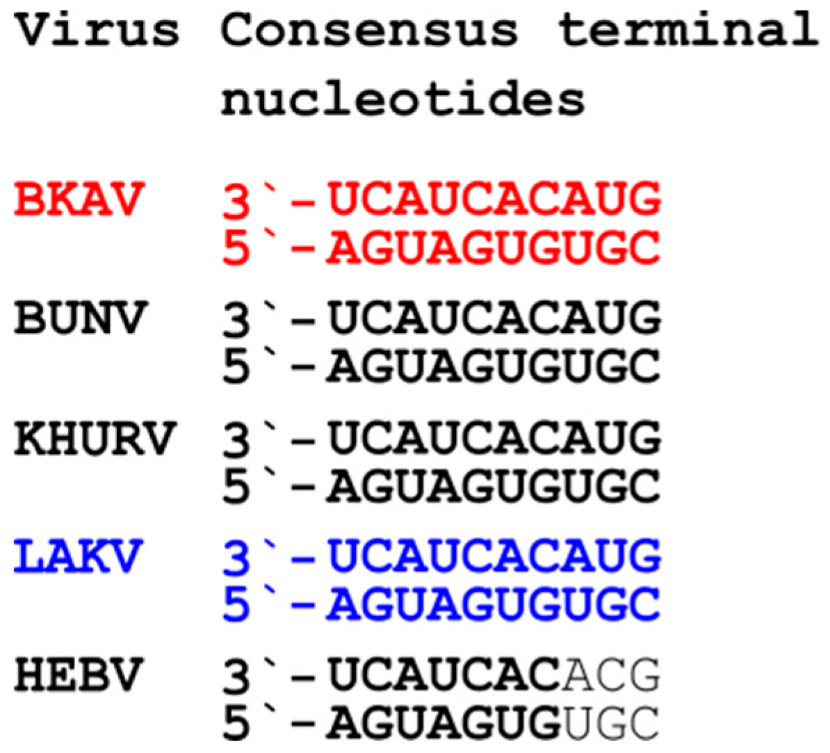 Viruses 11 00832 g003