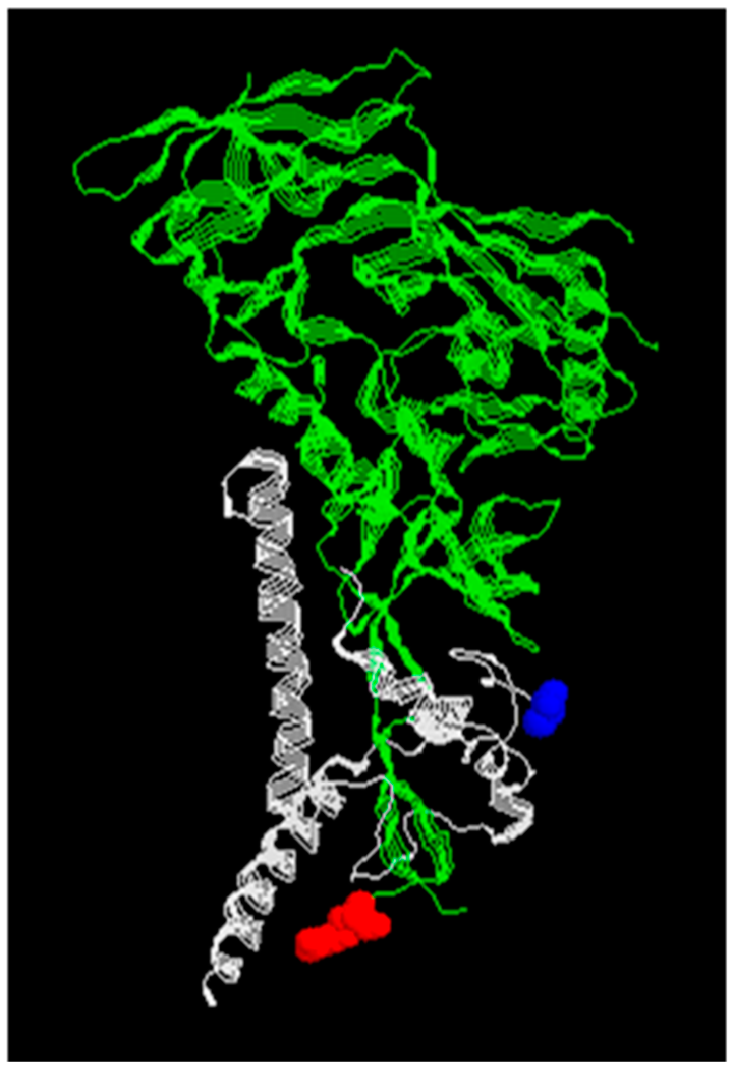 Viruses 11 00837 g002