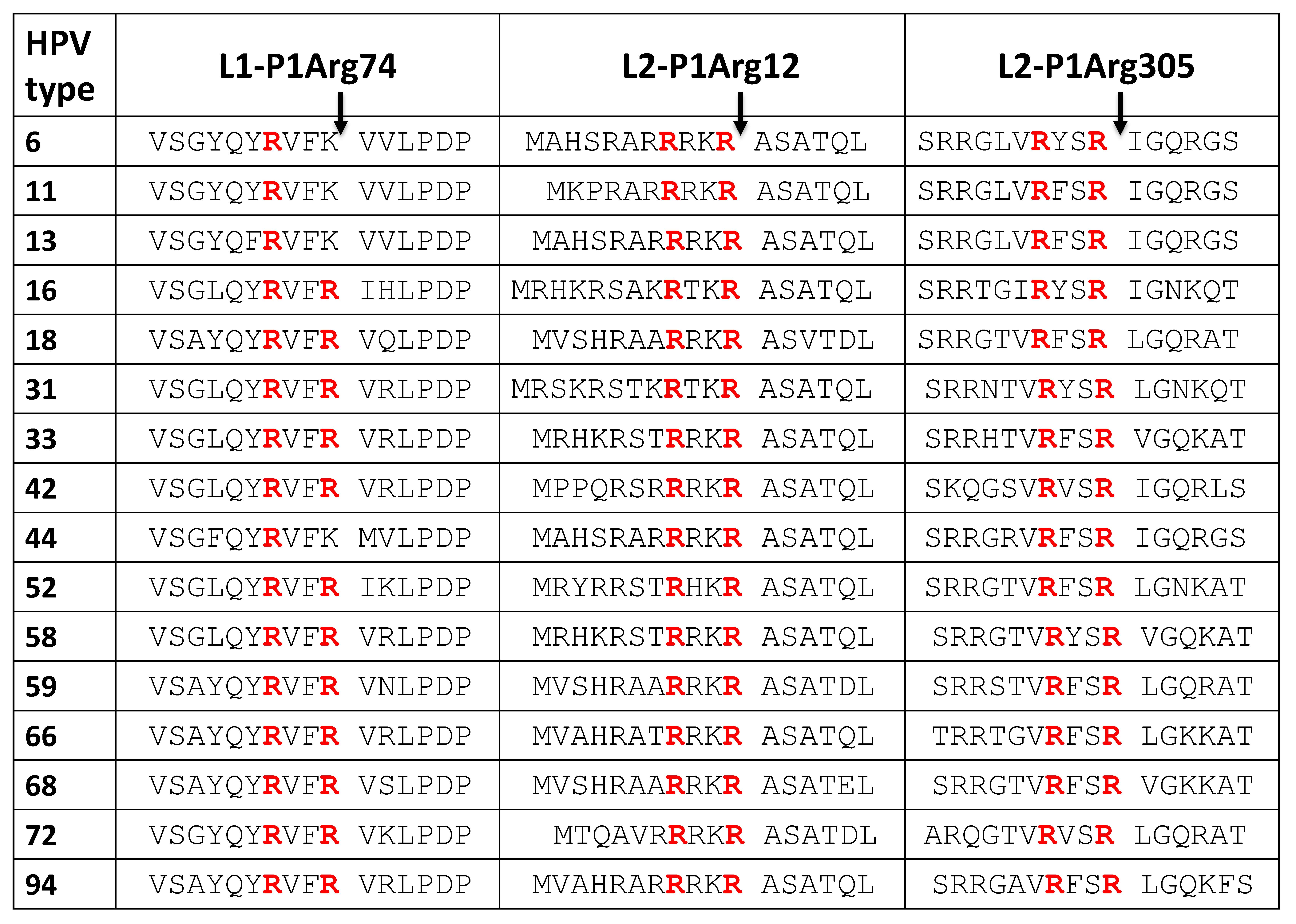 Viruses 11 00837 i001
