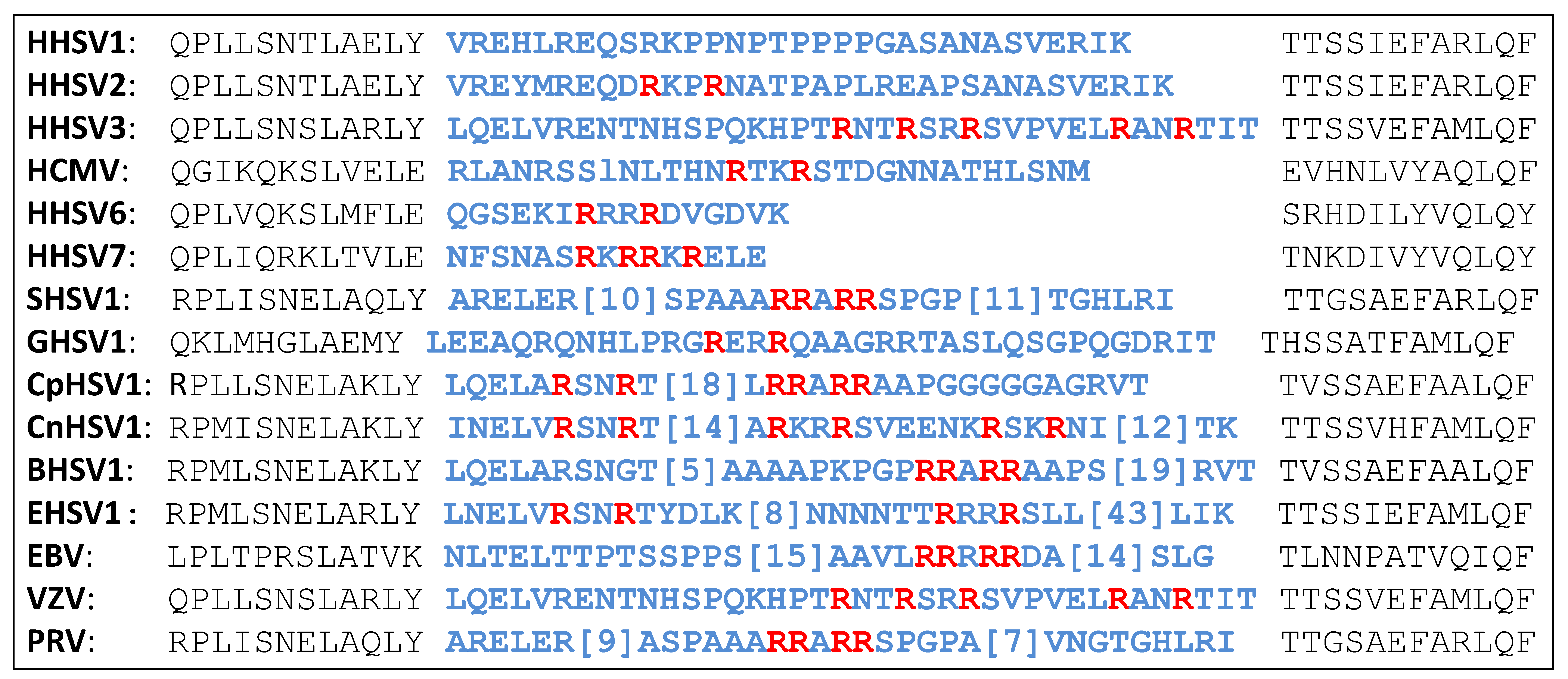 Viruses 11 00837 i002