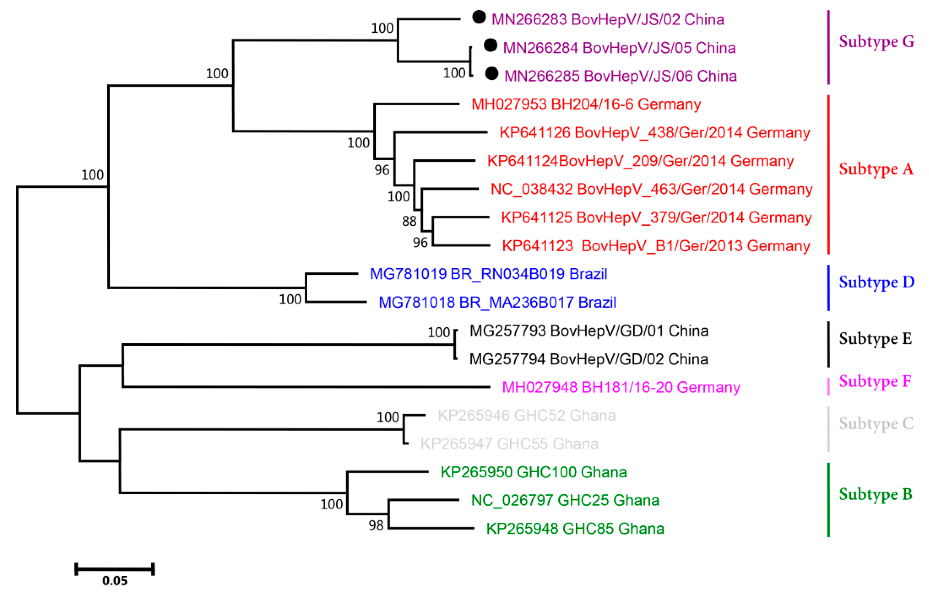 Viruses 11 00843 g002
