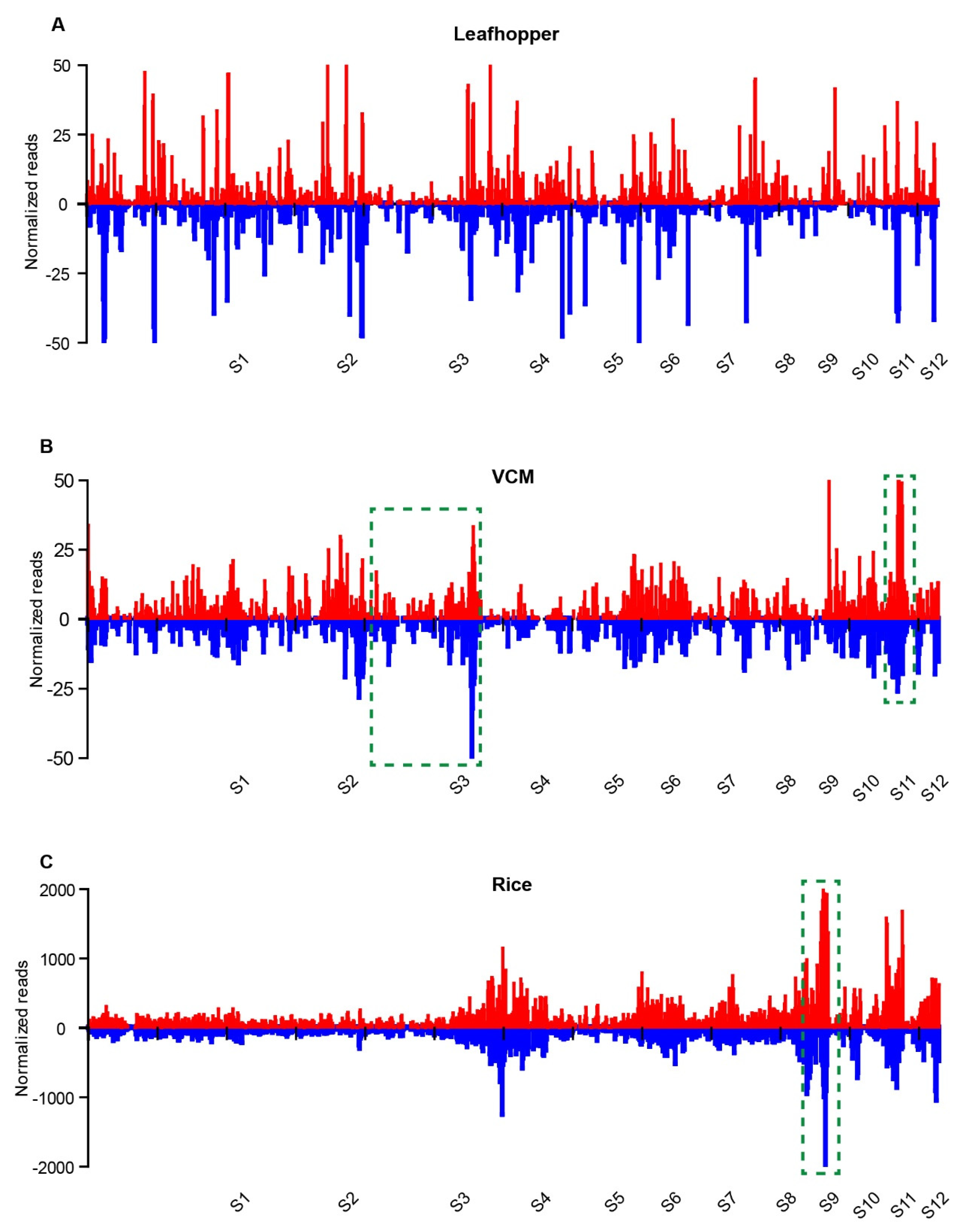 Viruses 11 00847 g002 Viruses 11 00847 g002