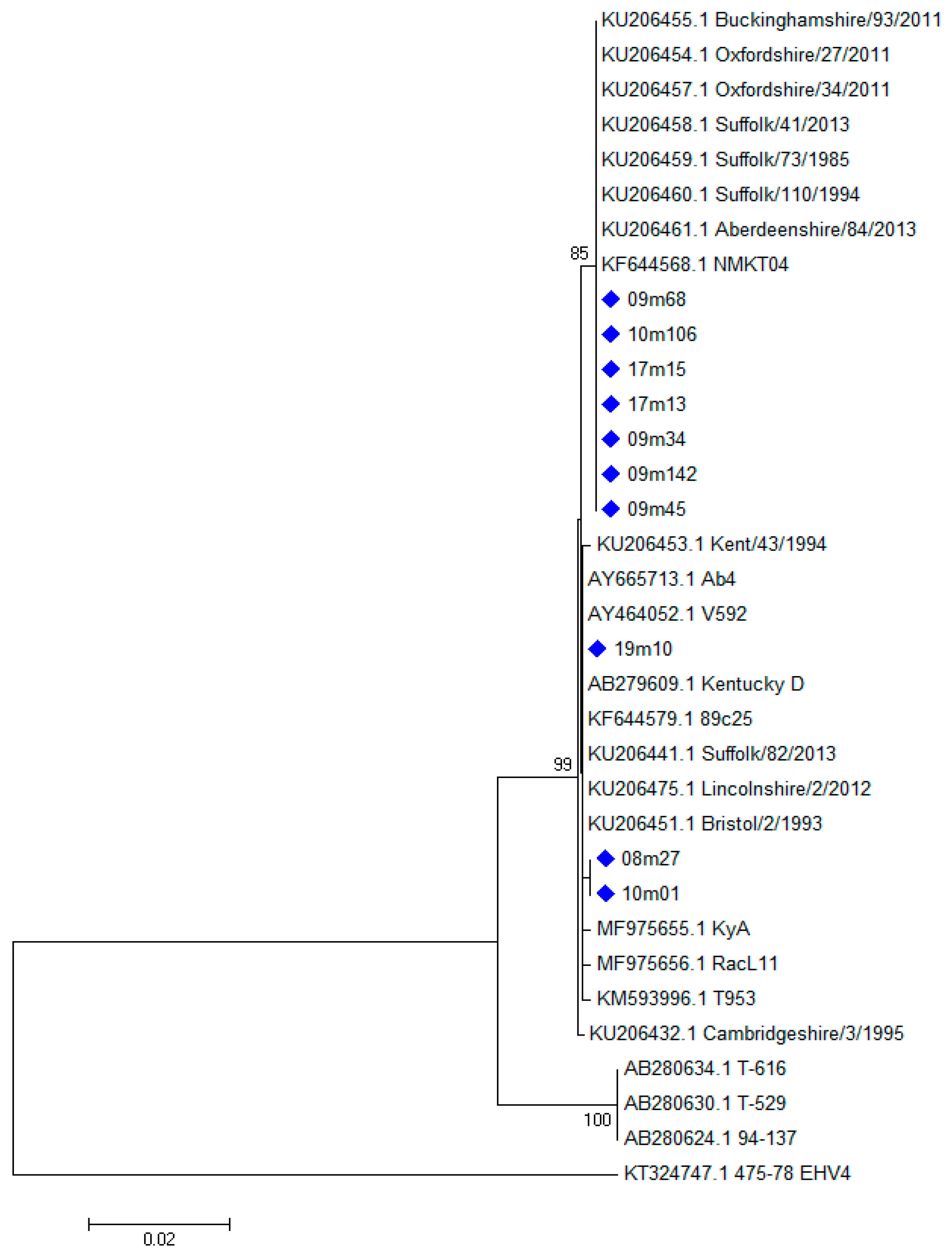 Viruses 11 00851 g001 Viruses 11 00851 g001