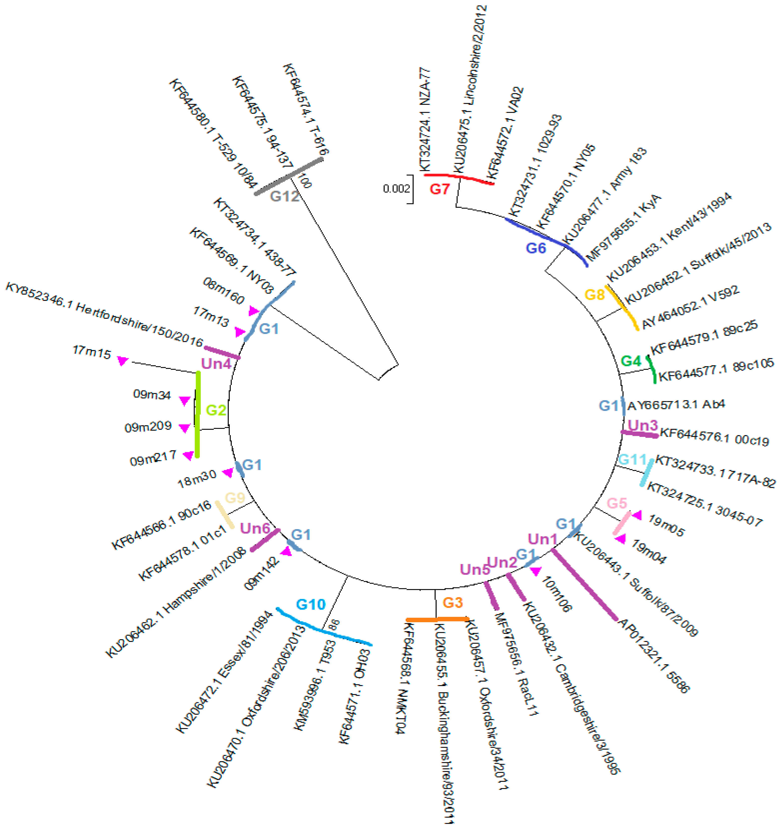 Viruses 11 00851 g002 Viruses 11 00851 g002
