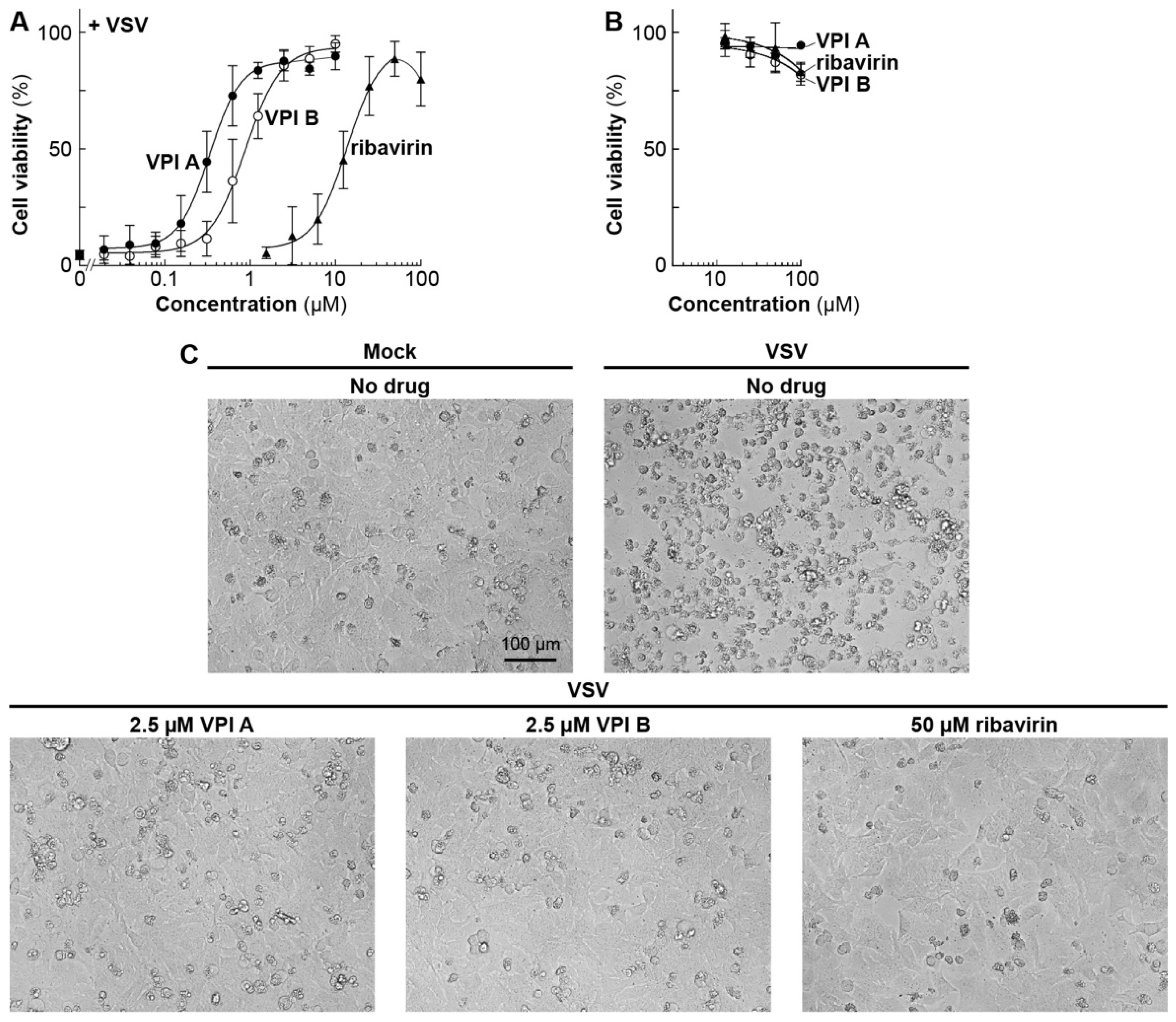 Viruses 11 00856 g004 Viruses 11 00856 g004