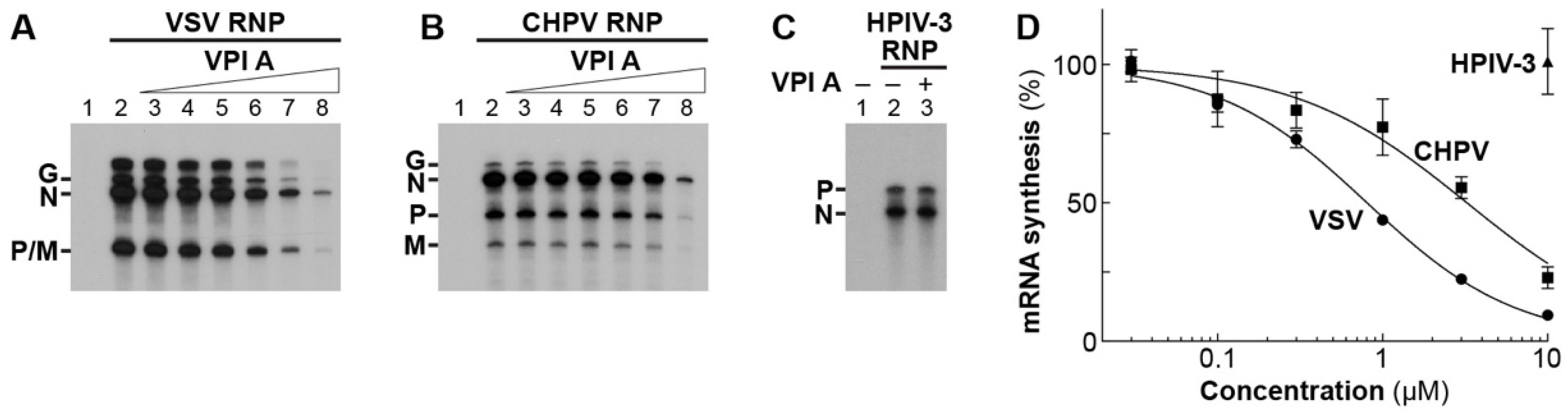 Viruses 11 00856 g006 Viruses 11 00856 g006