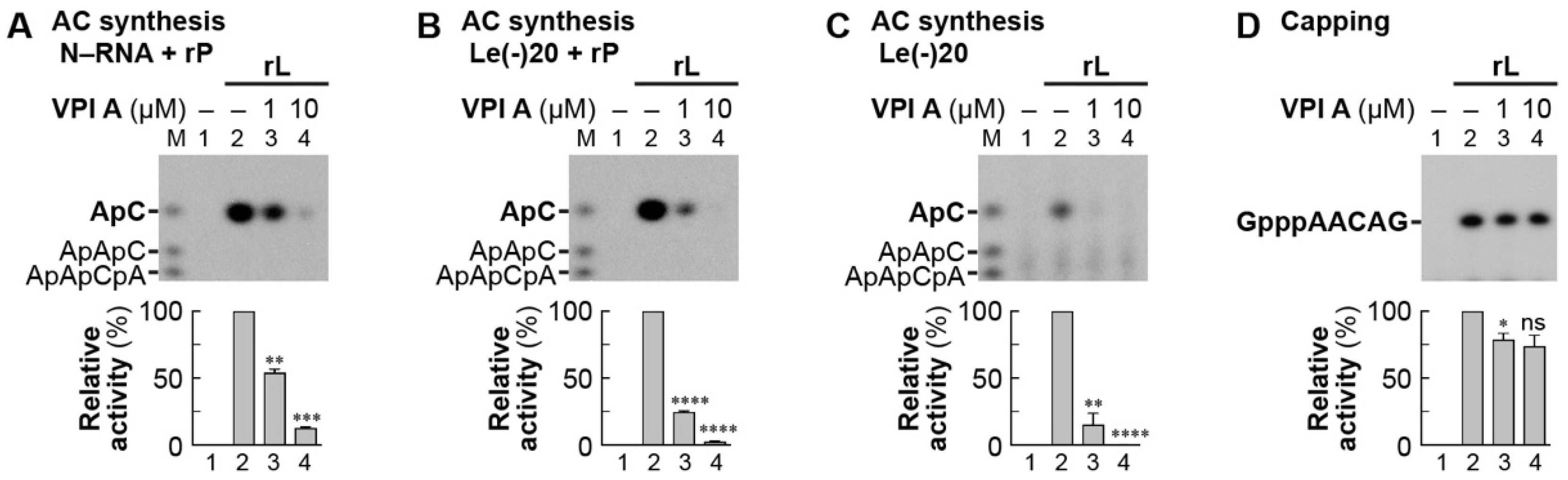 Viruses 11 00856 g009 Viruses 11 00856 g009