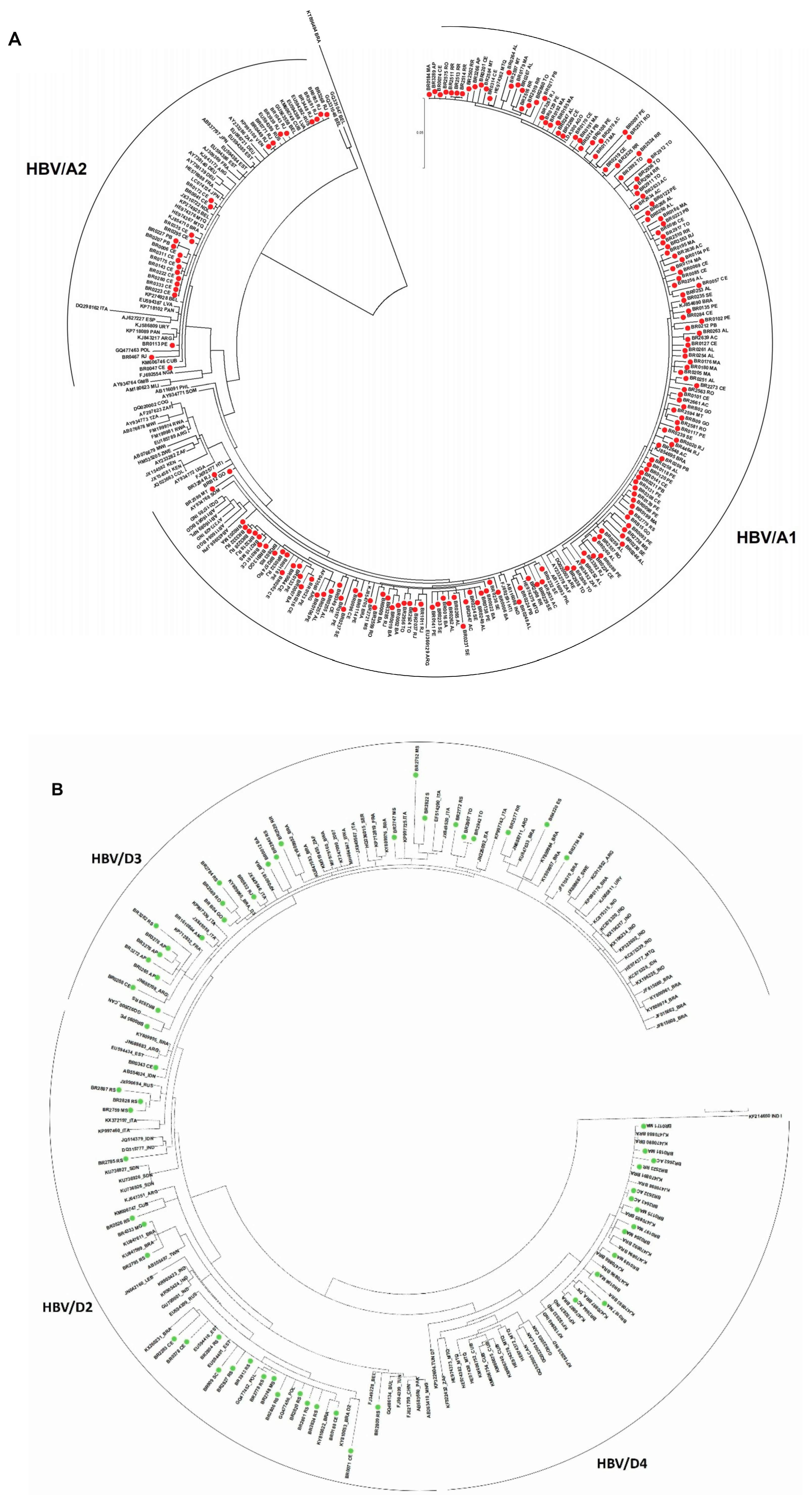 Viruses 11 00860 g004a
