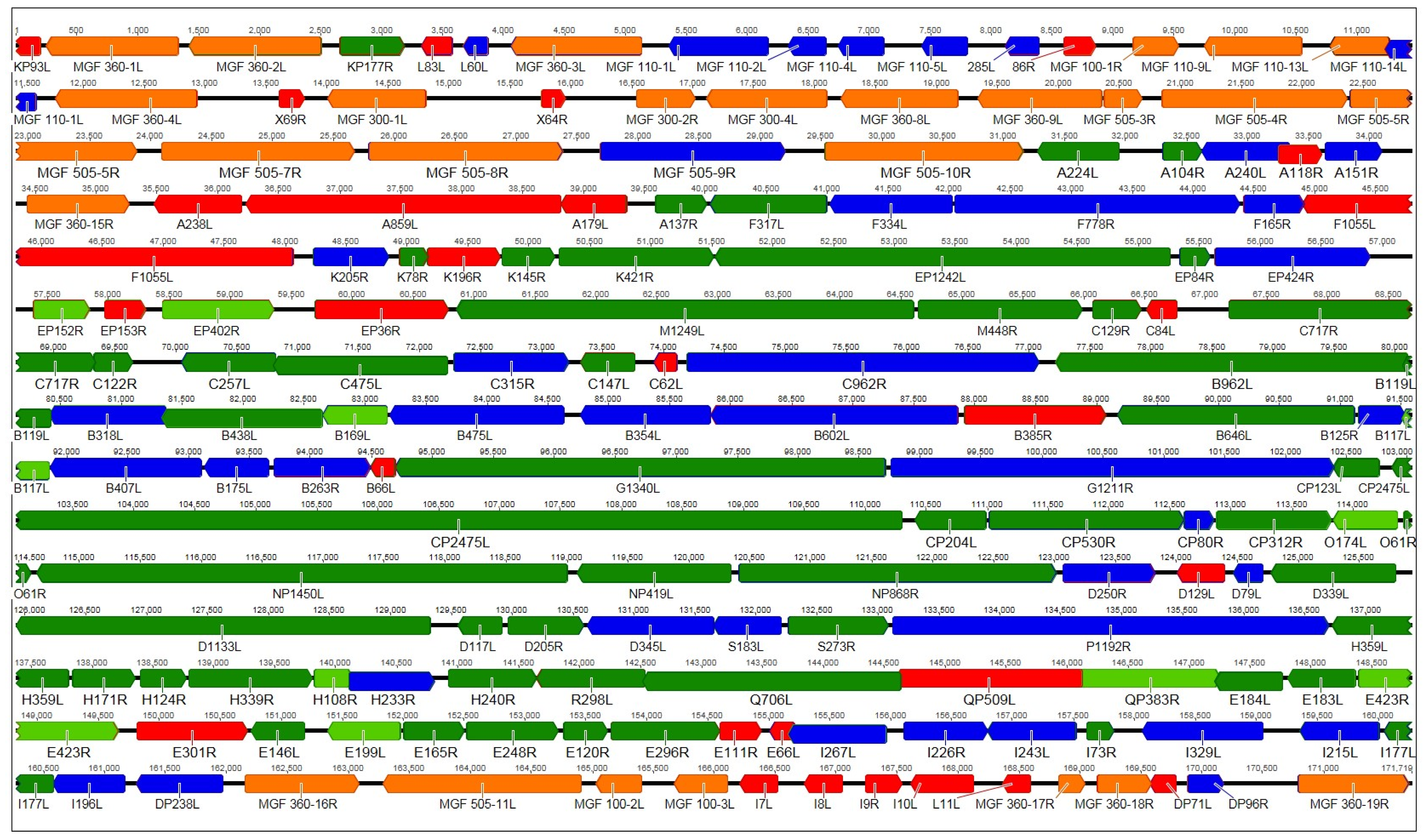 Viruses 11 00864 g001