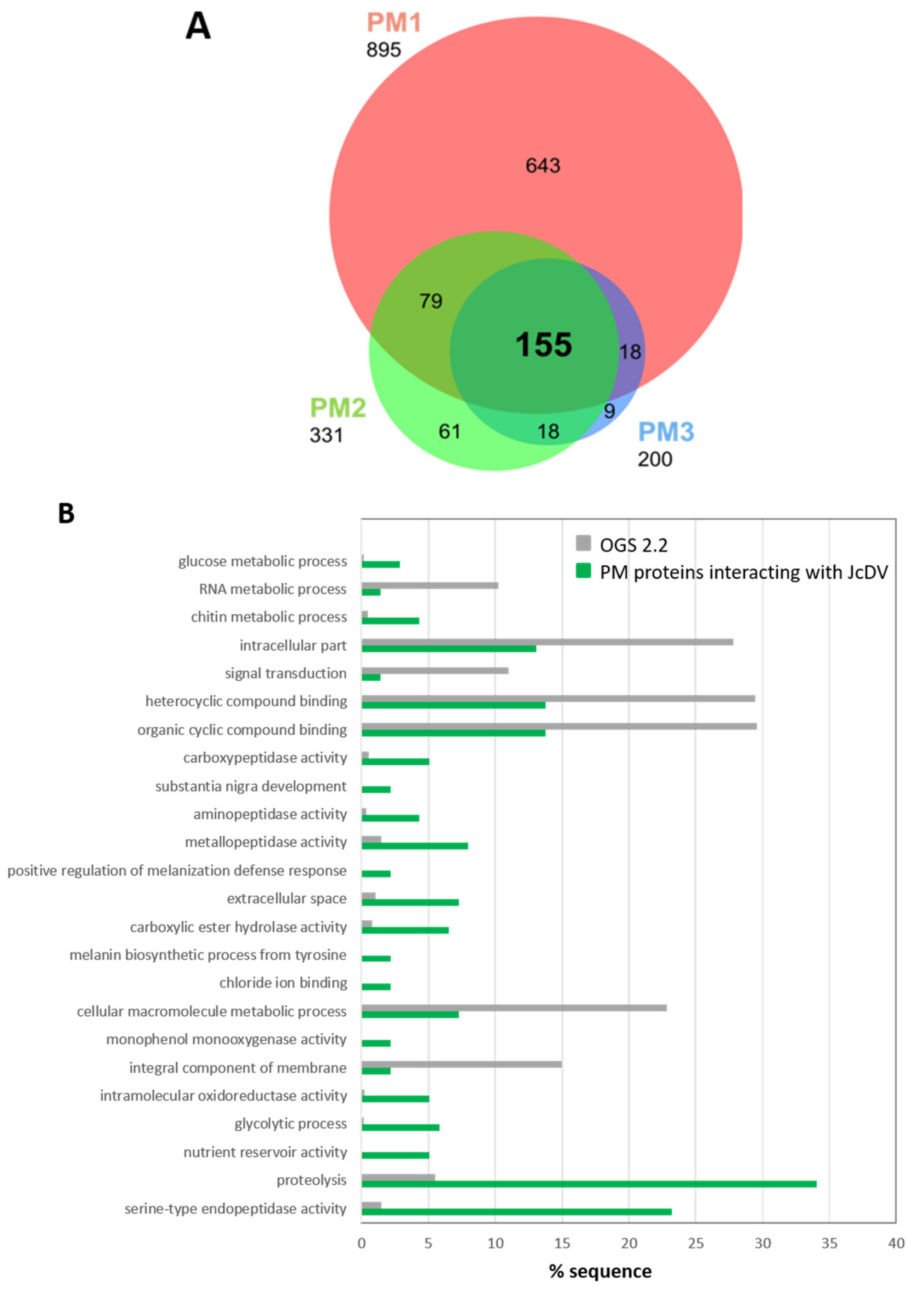Viruses 11 00870 g006 Viruses 11 00870 g006