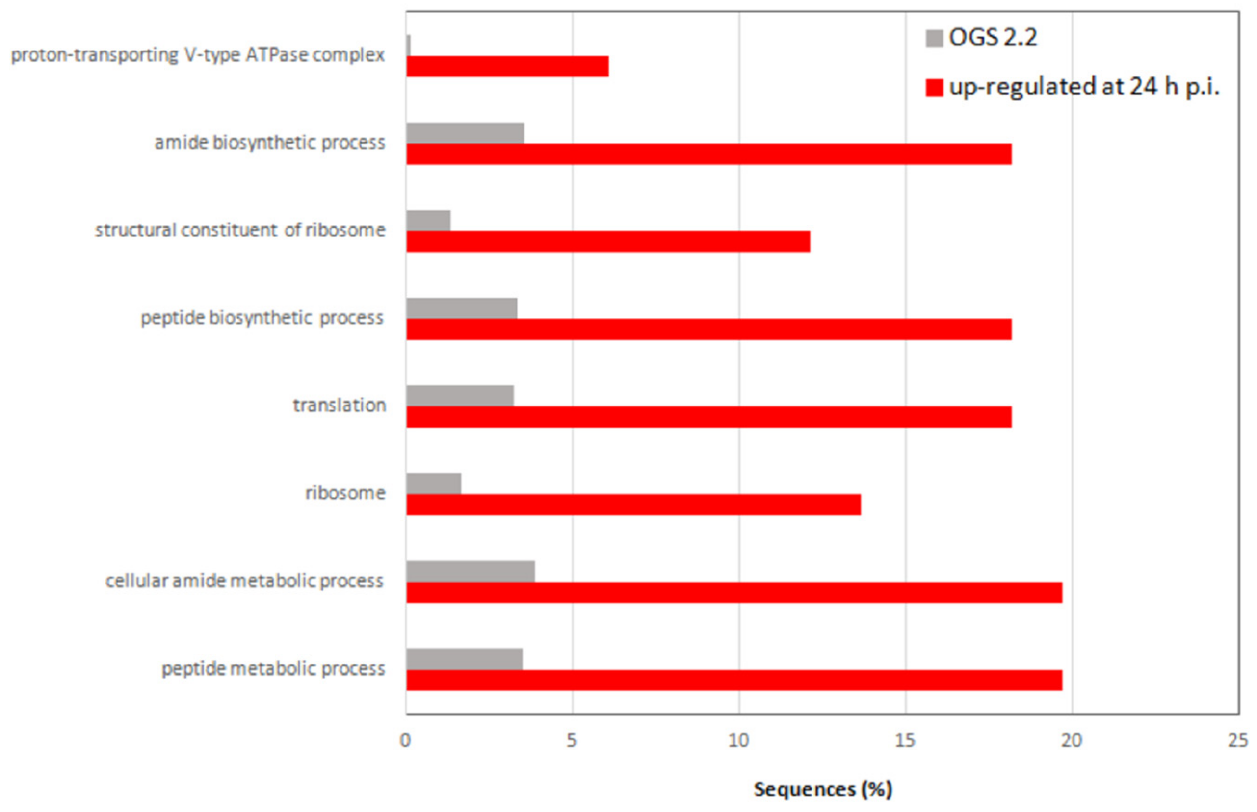 Viruses 11 00870 g008 Viruses 11 00870 g008