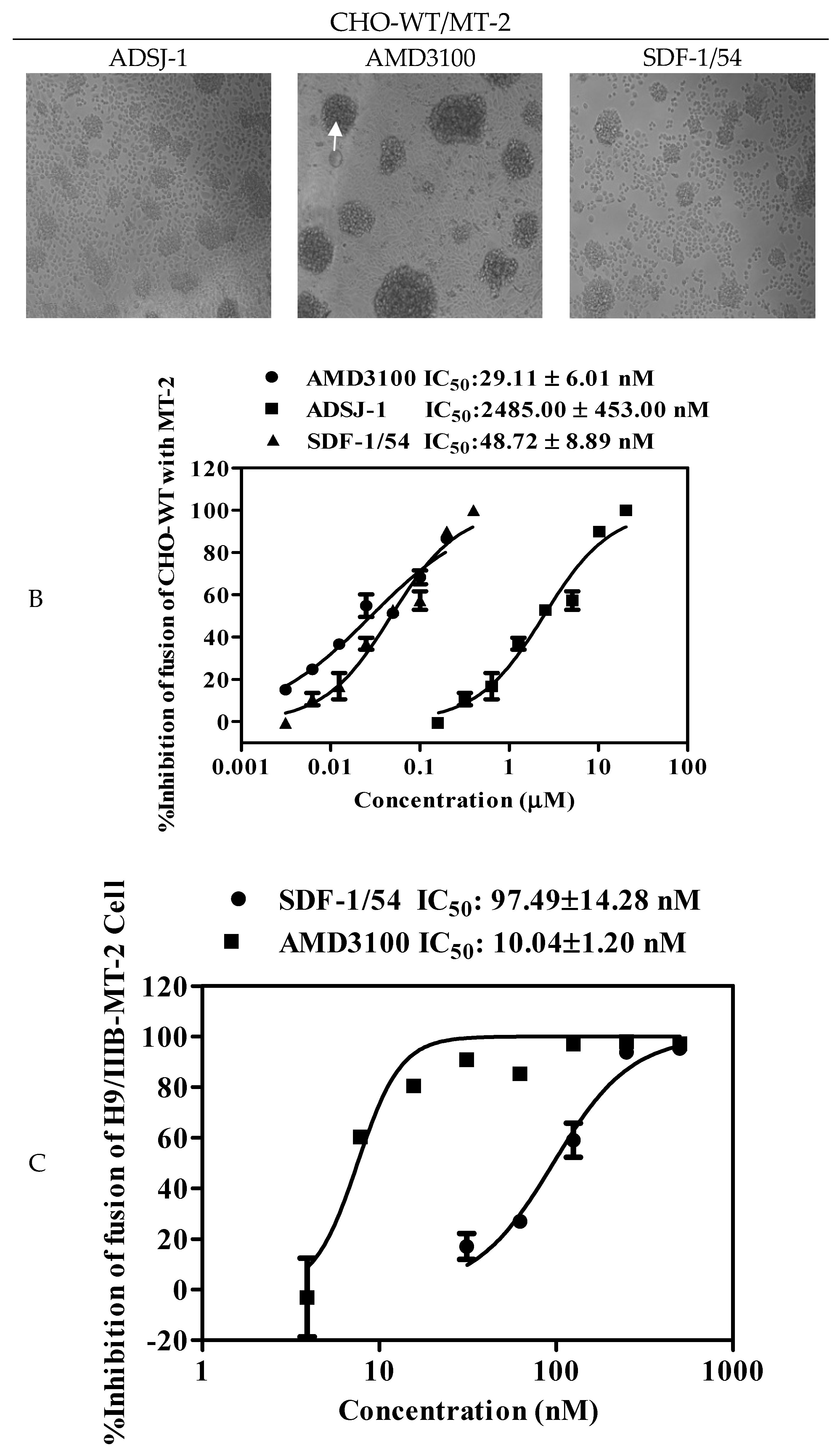 Viruses 11 00874 g006b