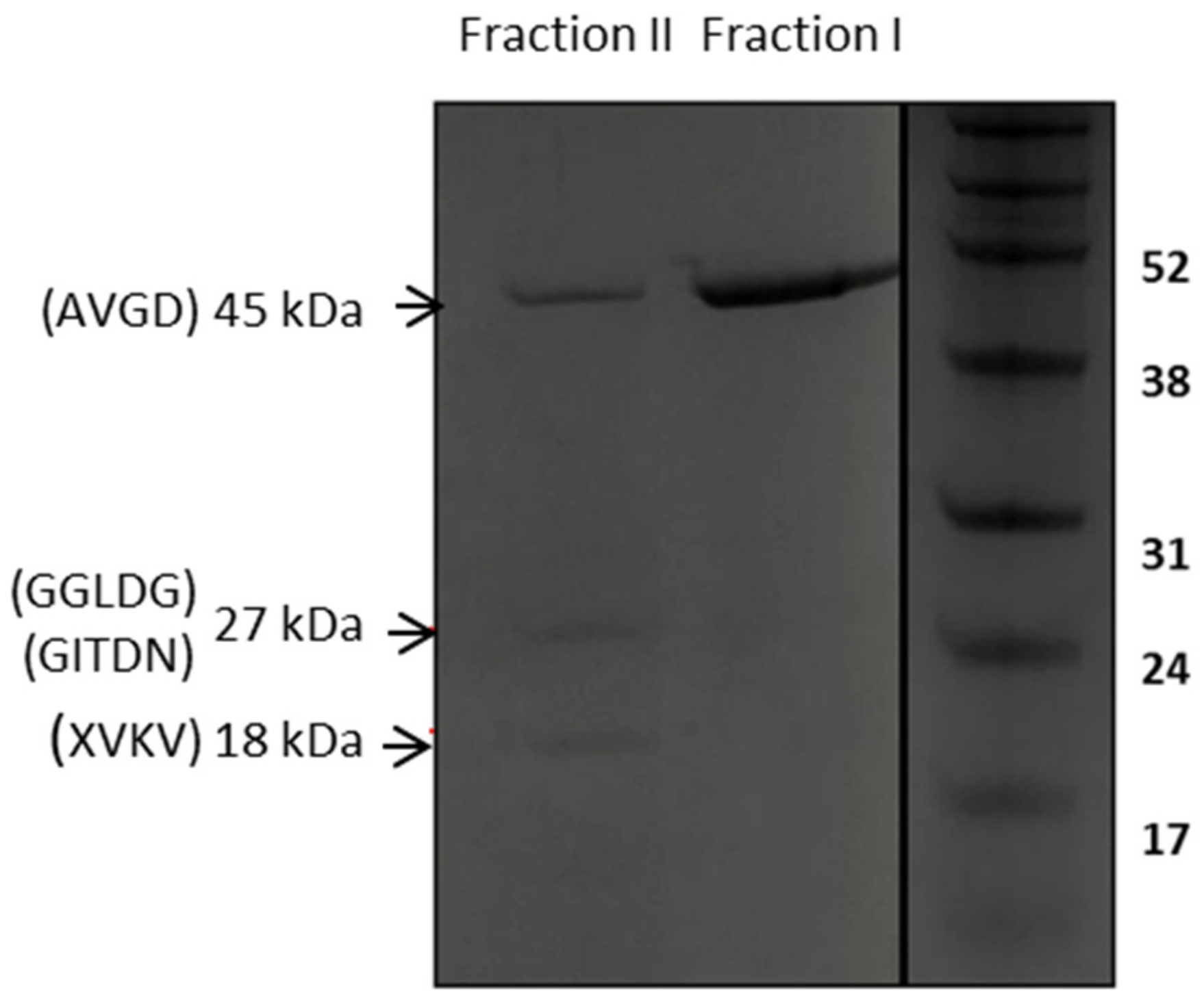 Viruses 11 00881 g005
