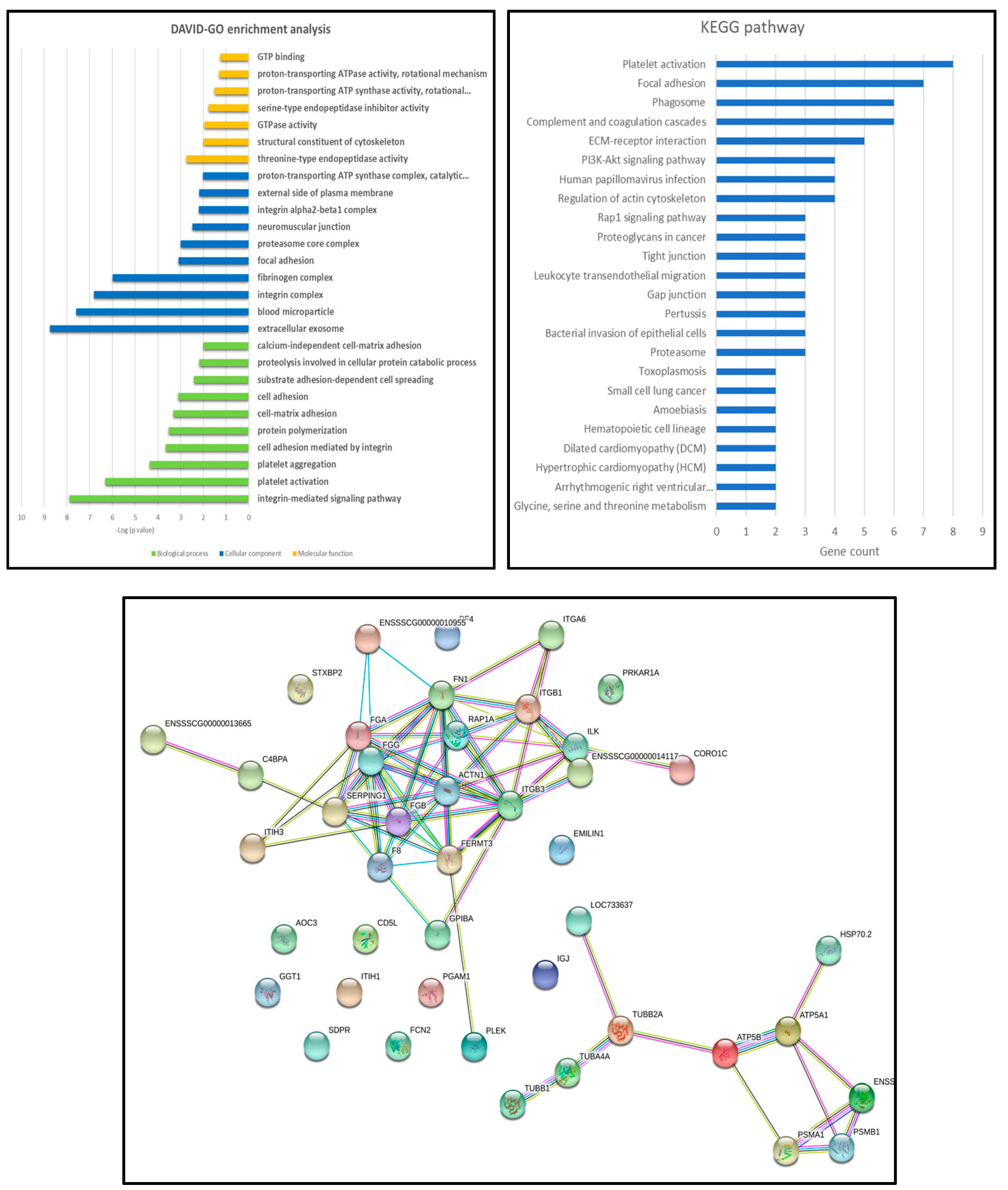 Viruses 11 00882 g006
