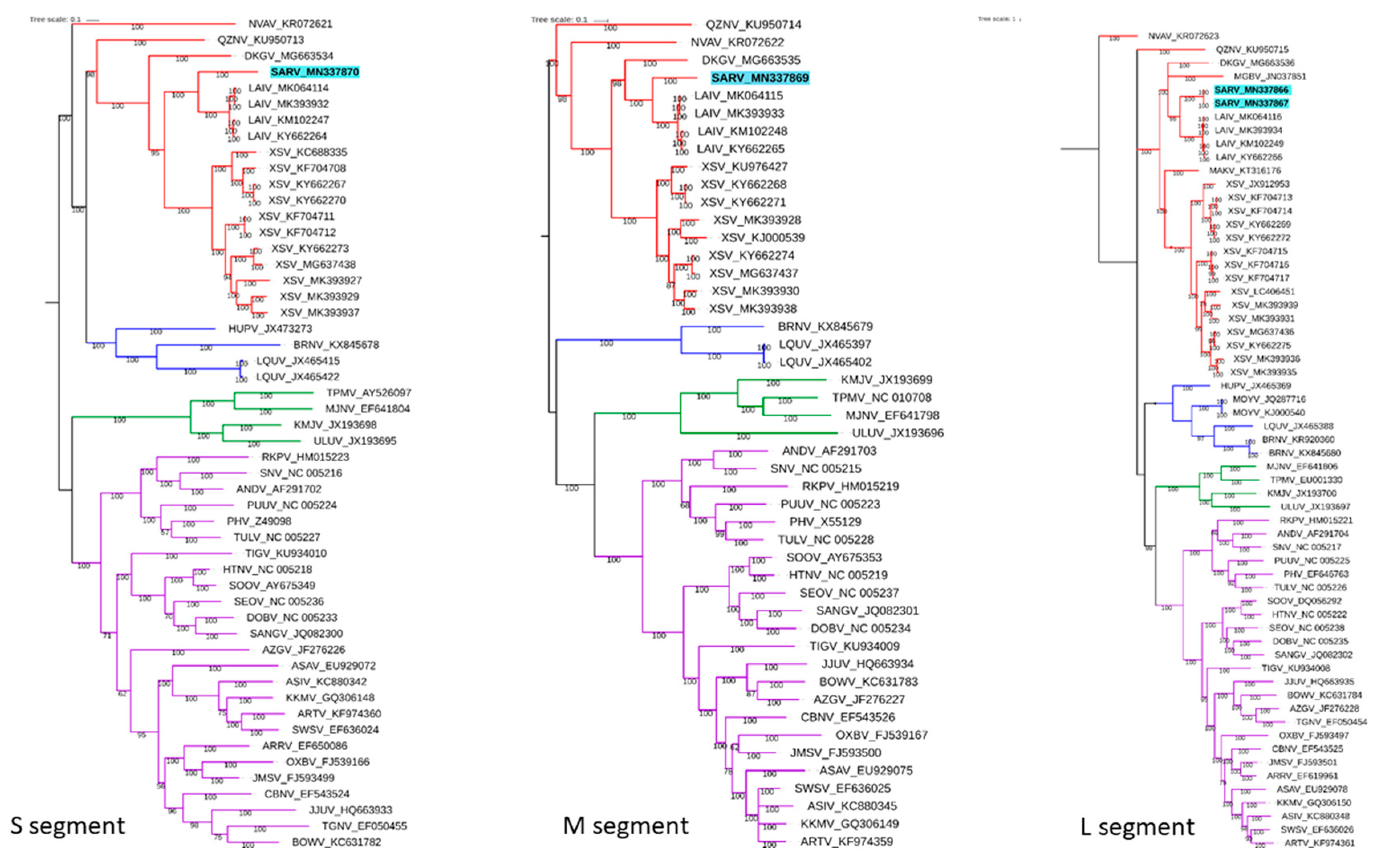 Viruses 11 00887 g002 Viruses 11 00887 g002