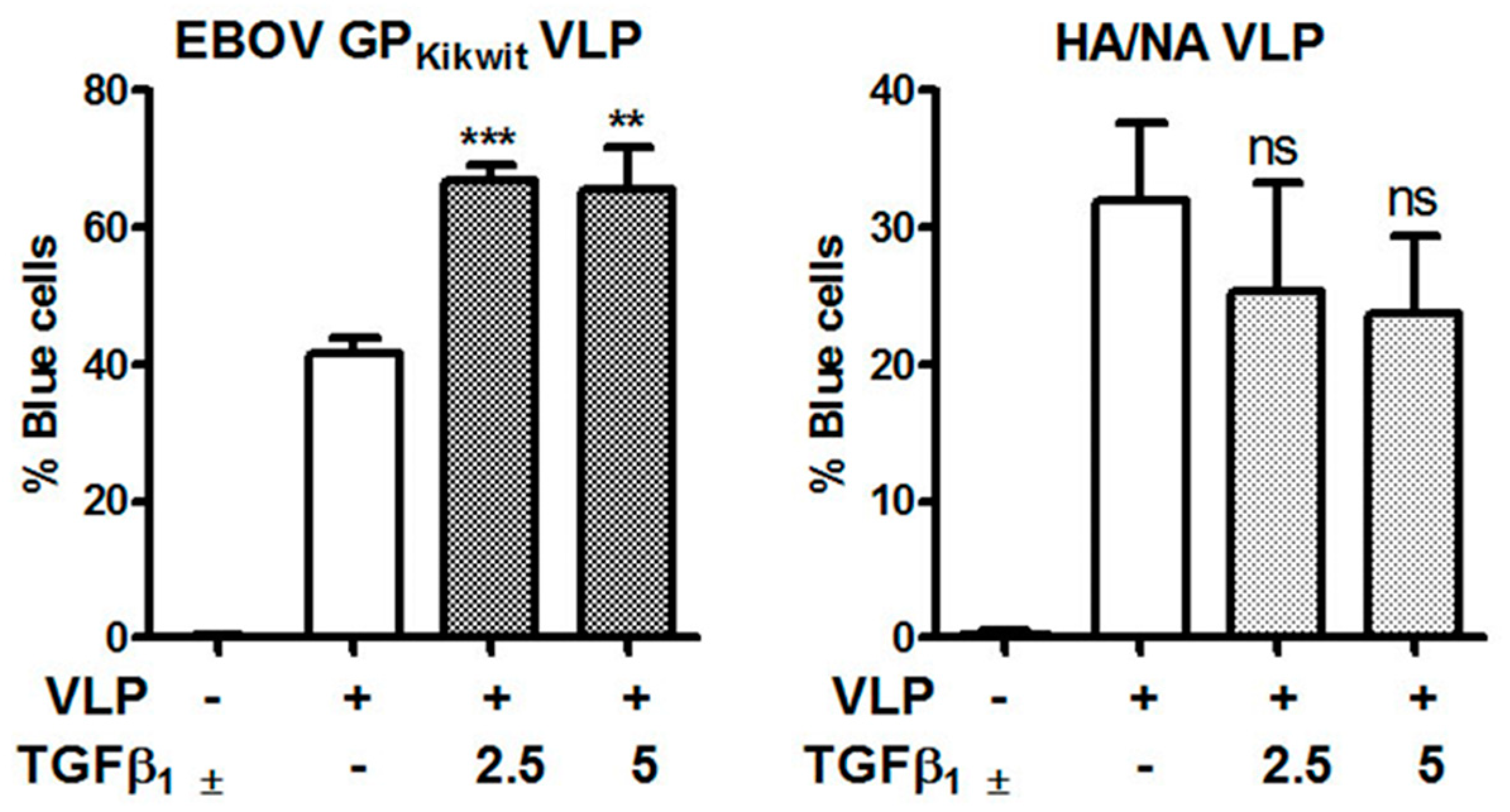 Viruses 11 00889 g007 Viruses 11 00889 g007