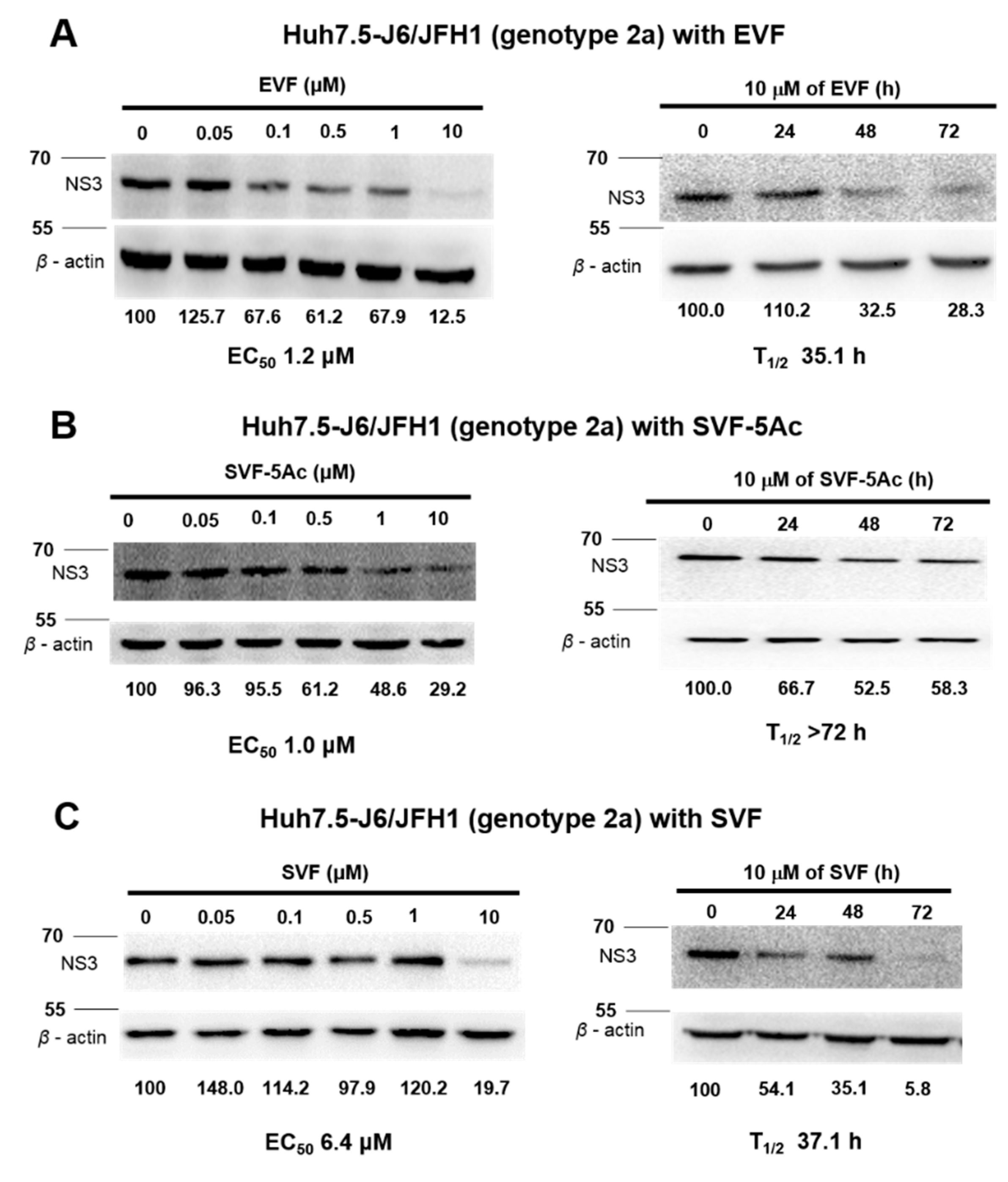 Viruses 11 00890 g005
