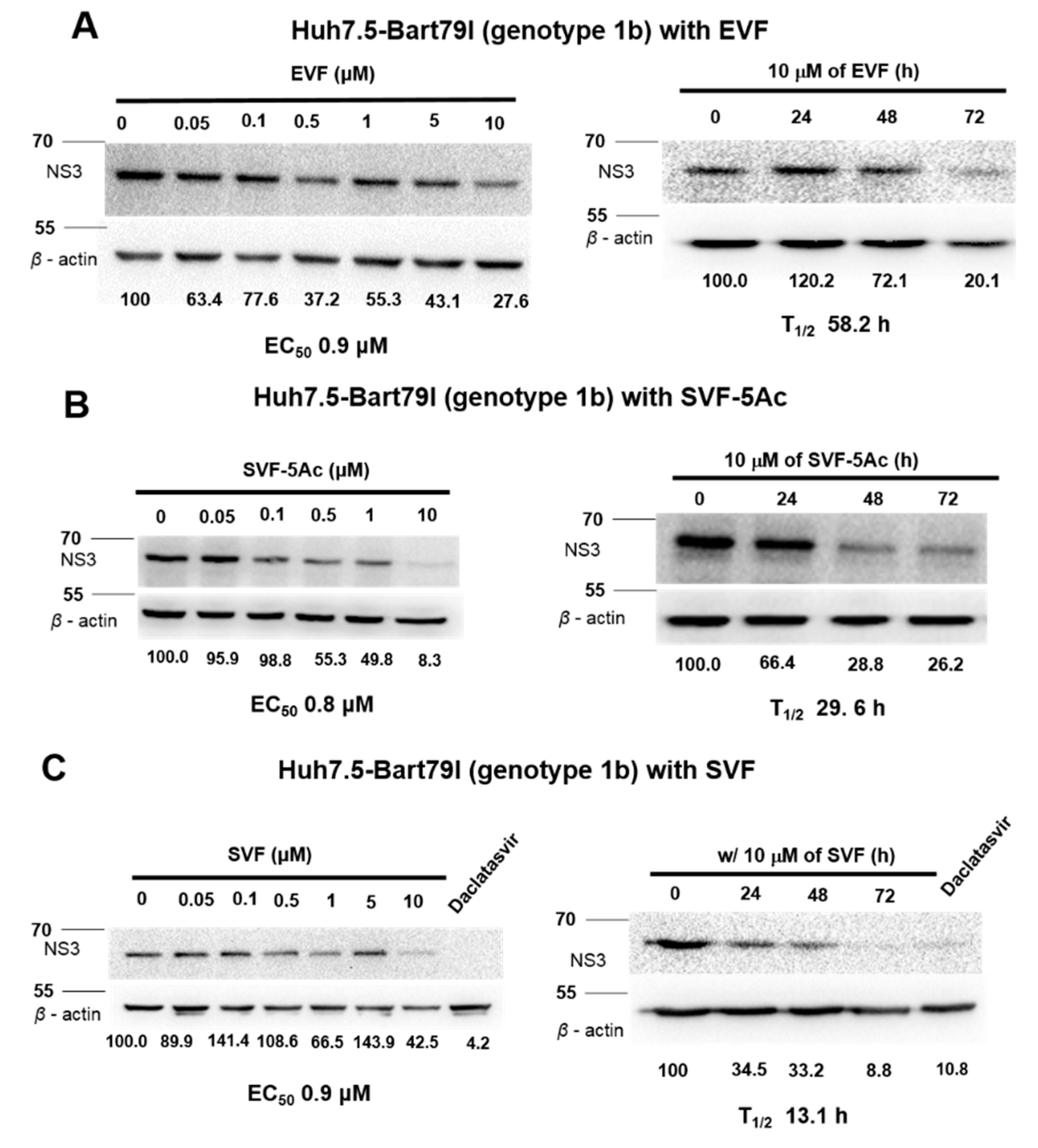 Viruses 11 00890 g006