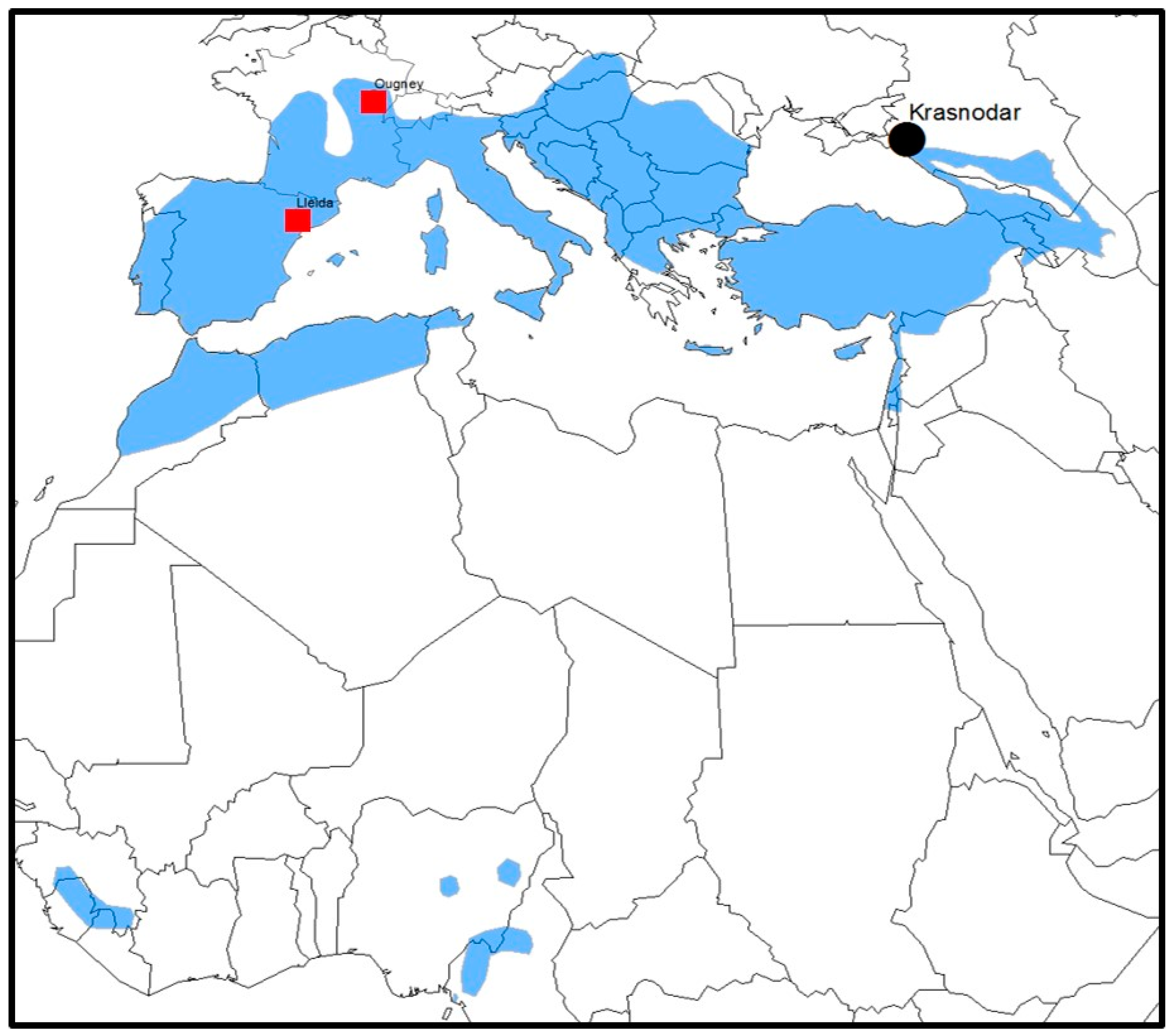 Viruses 11 00892 g001