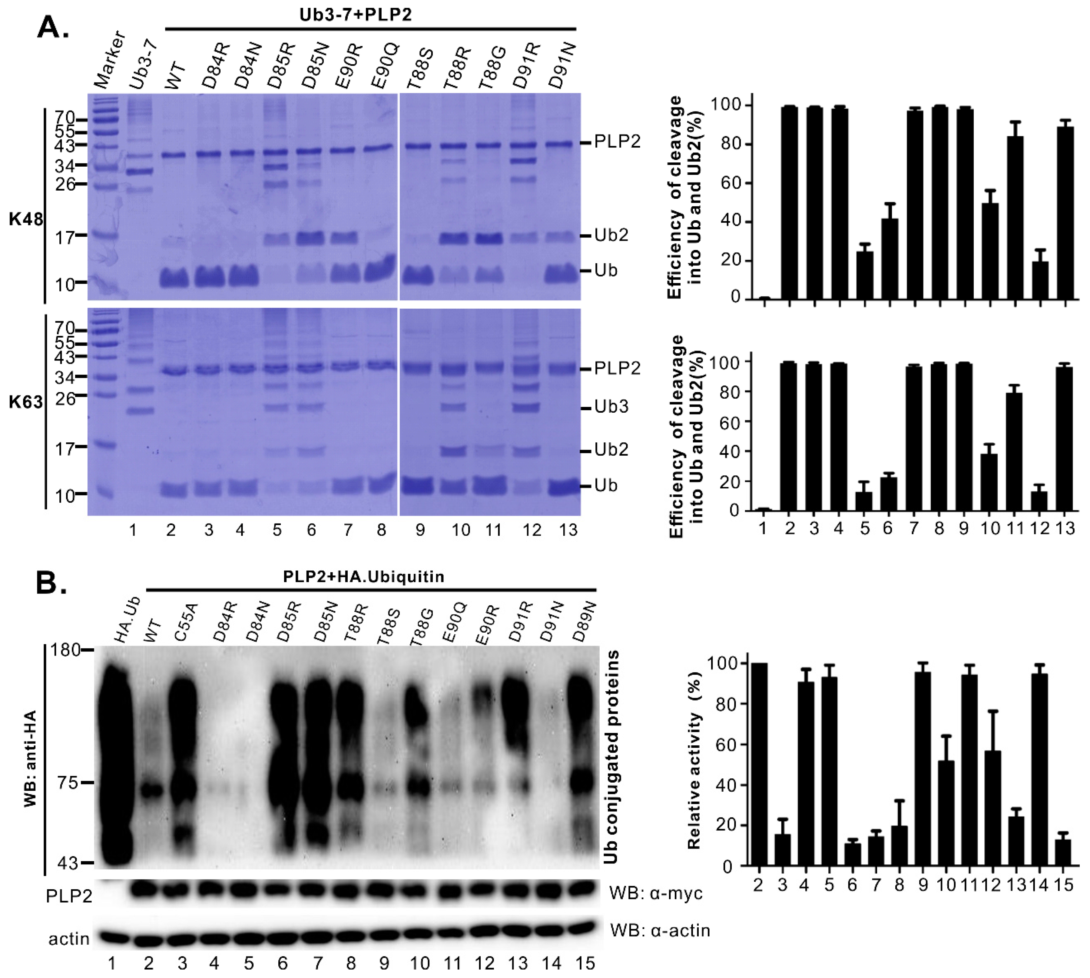 Viruses 11 00896 g004 Viruses 11 00896 g004