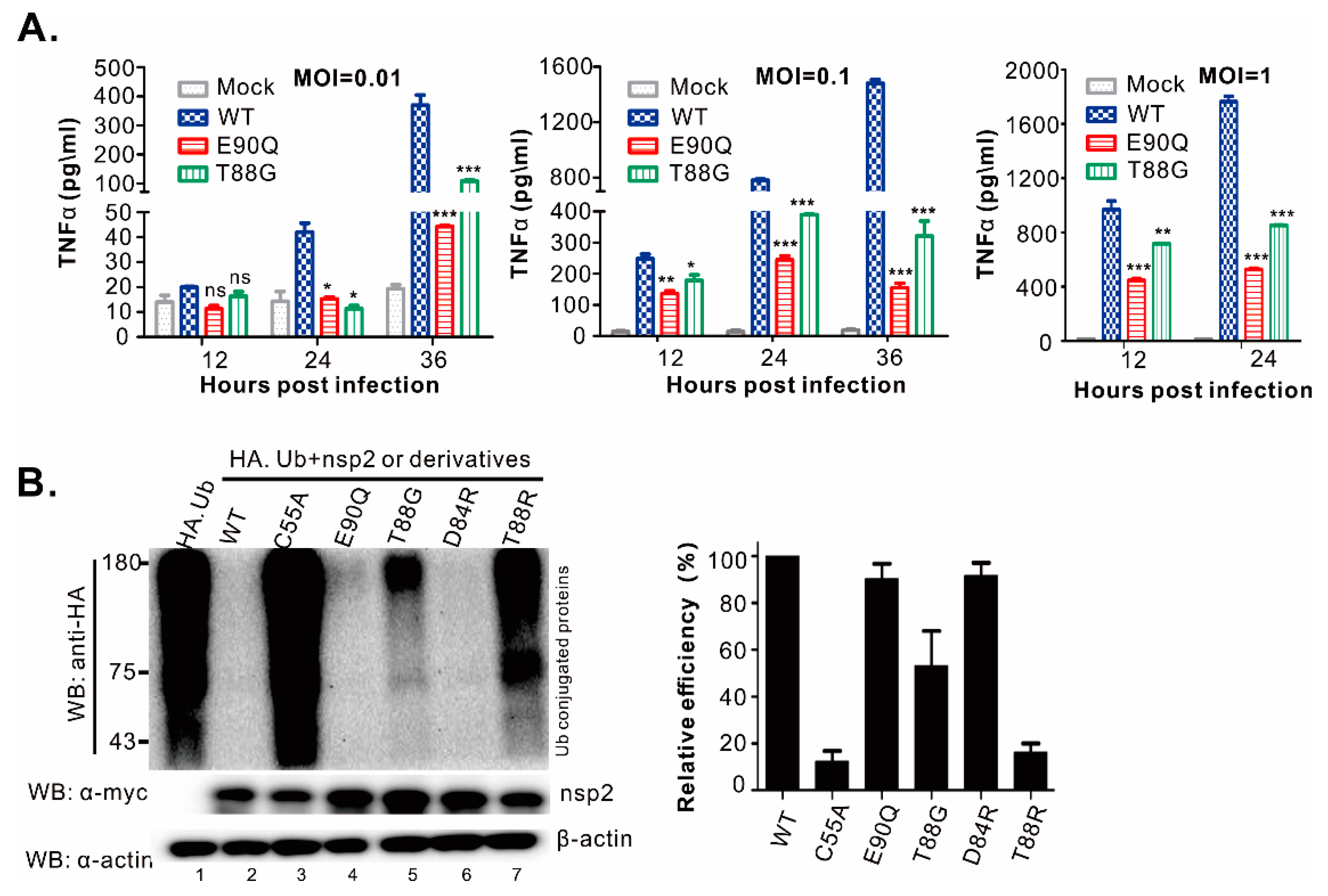 Viruses 11 00896 g008 Viruses 11 00896 g008