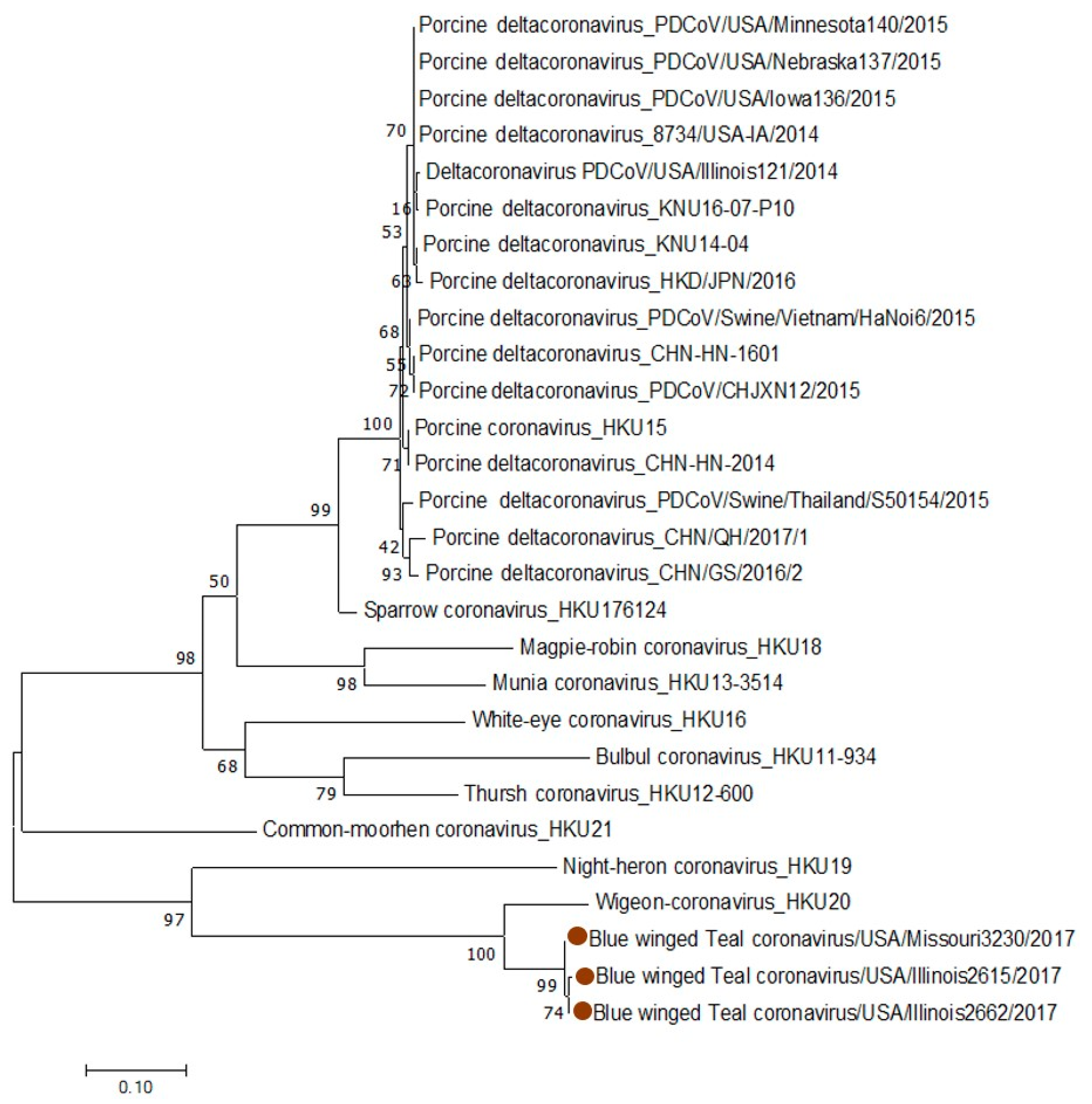 Viruses 11 00897 g003 Viruses 11 00897 g003