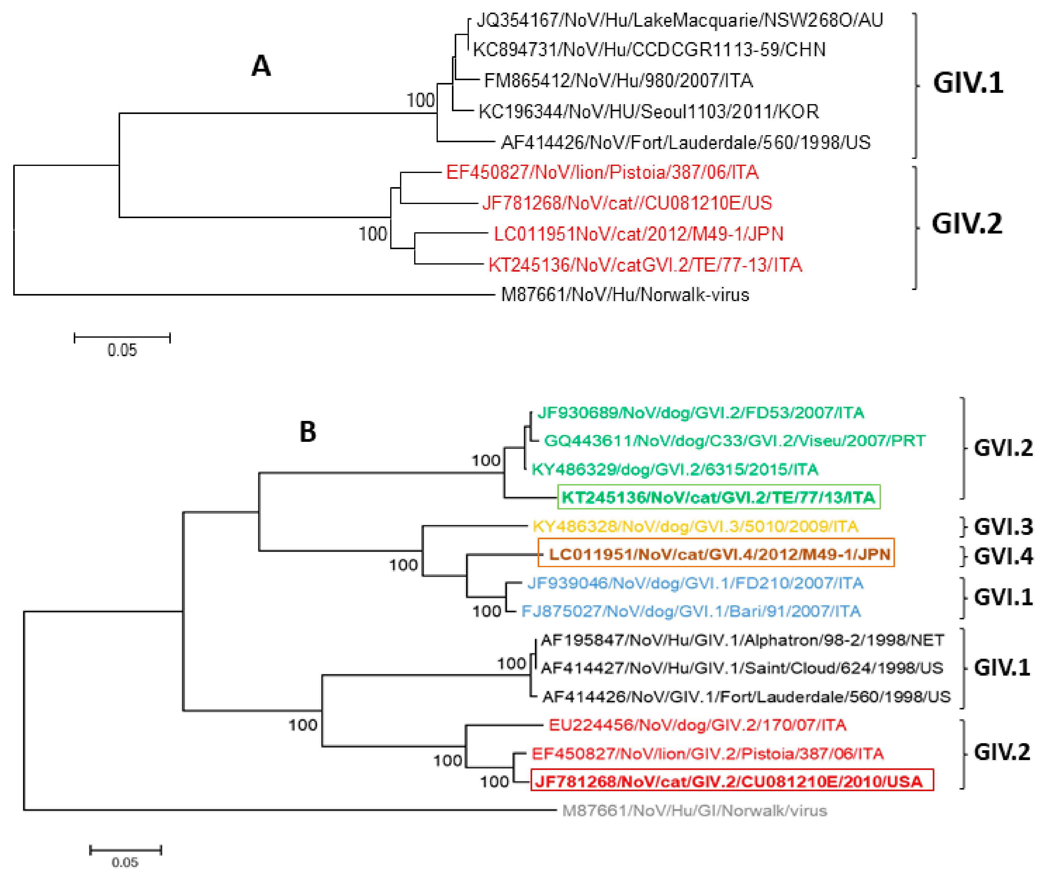 Viruses Free Full Text Feline Virome A Review Of Novel Enteric Viruses Detected In Cats Html