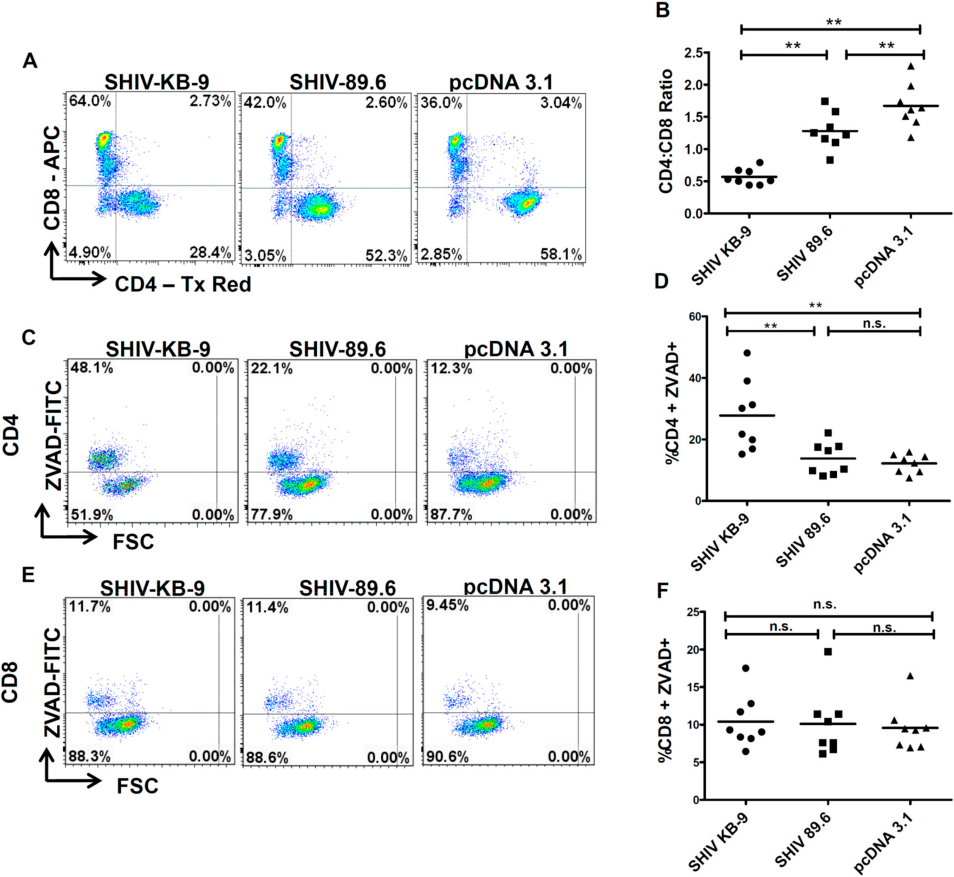 Viruses 11 00911 g007 Viruses 11 00911 g007