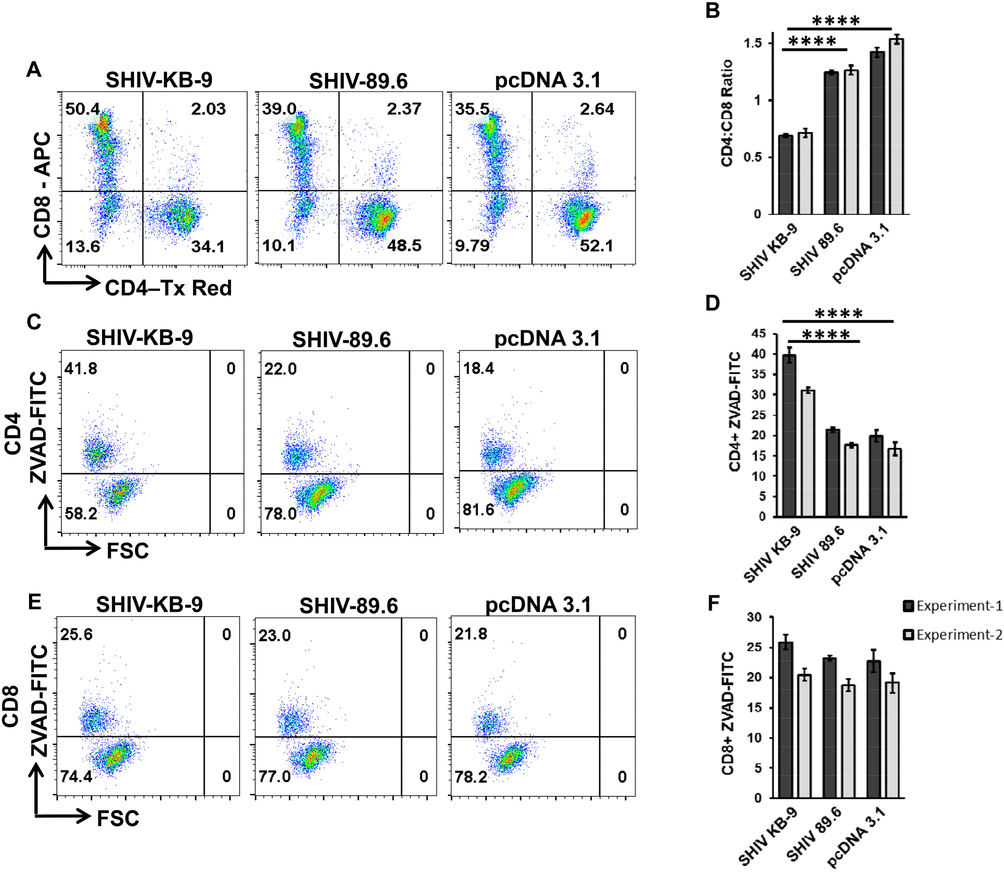 Viruses 11 00911 g008 Viruses 11 00911 g008