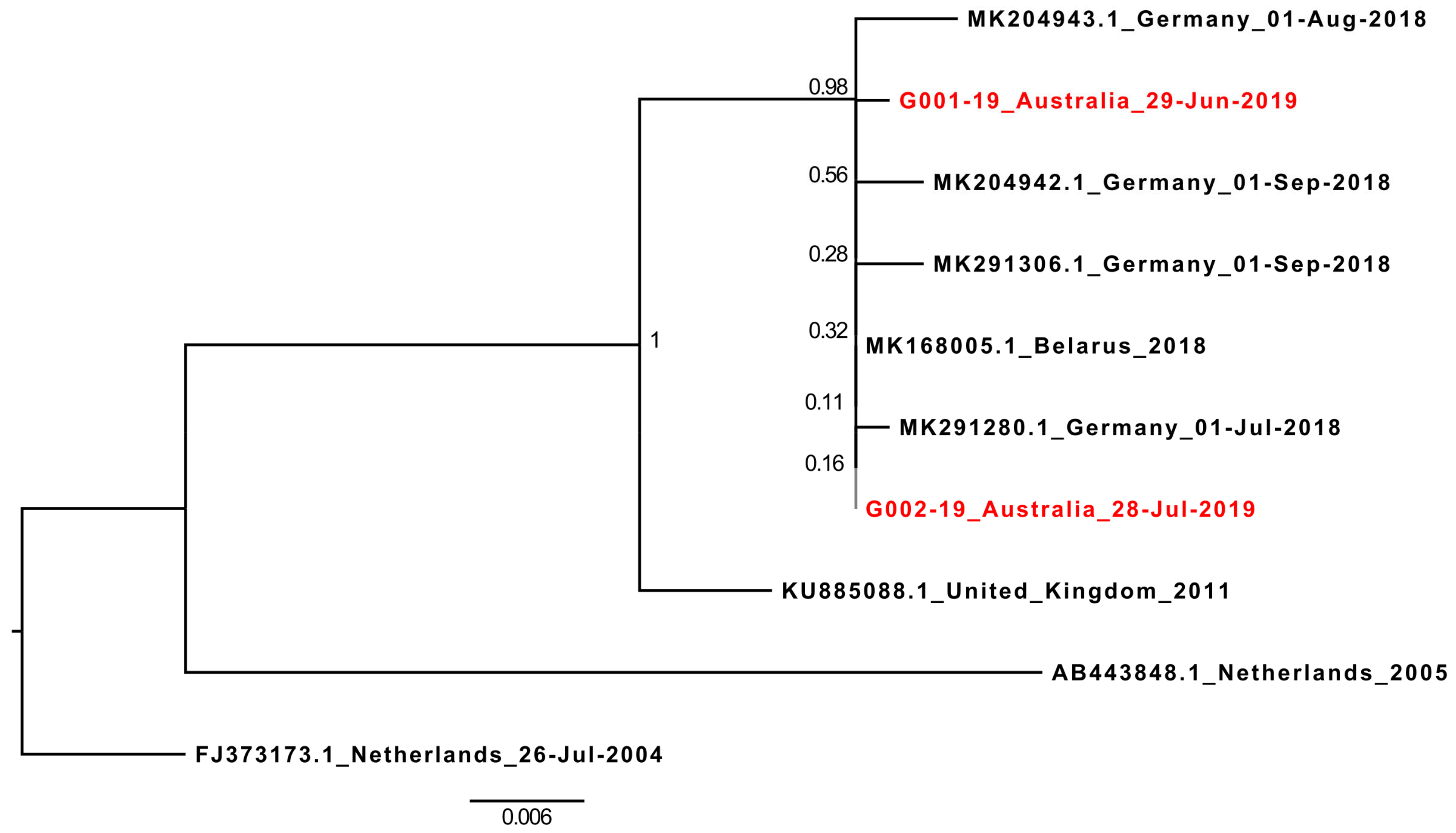 Viruses 11 00913 g002