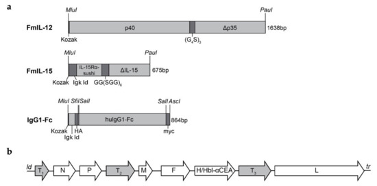 text encoding translation autcmatic text encoding translation autcmatic