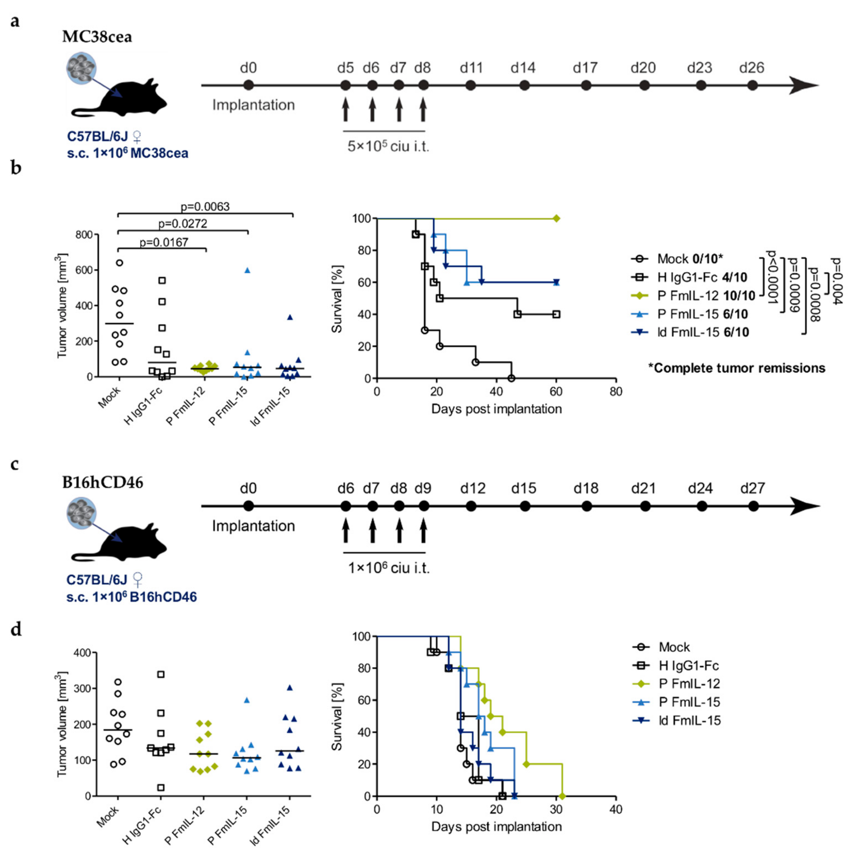 Viruses 11 00914 g005