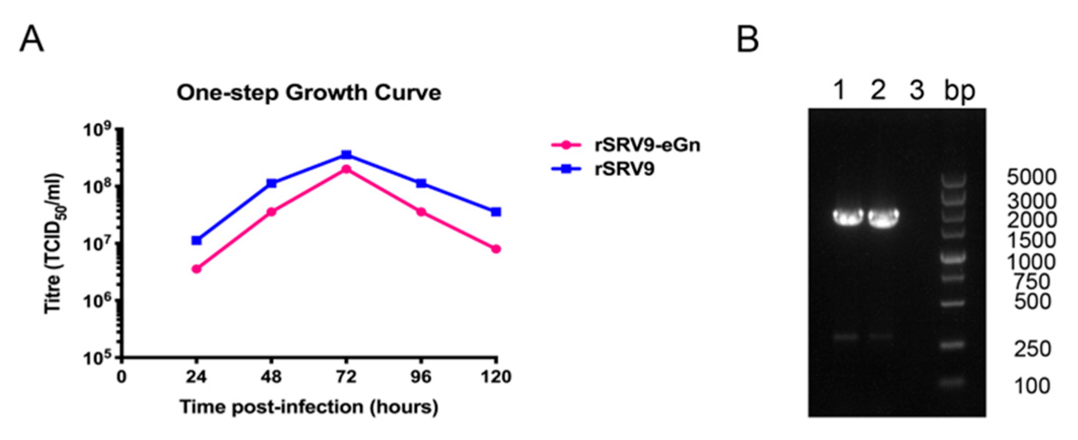 Viruses 11 00919 g005 Viruses 11 00919 g005
