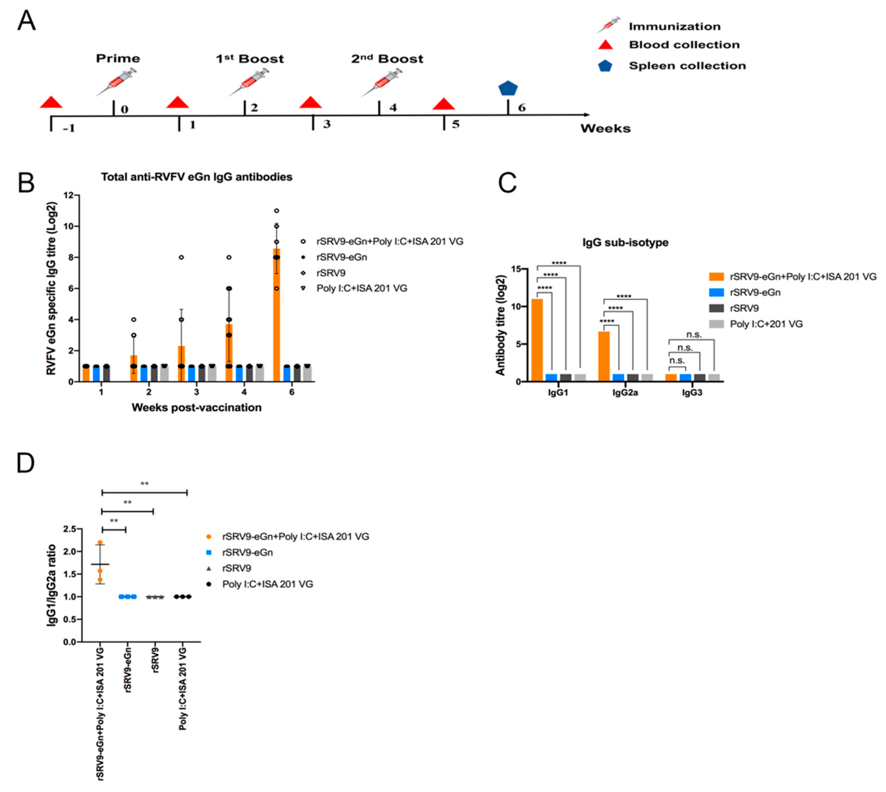 Viruses 11 00919 g007 Viruses 11 00919 g007