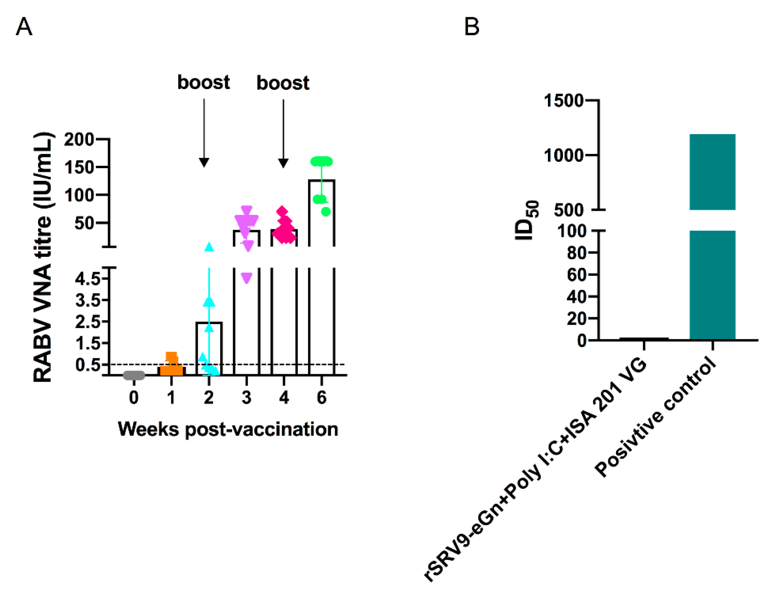 Viruses 11 00919 g008 Viruses 11 00919 g008