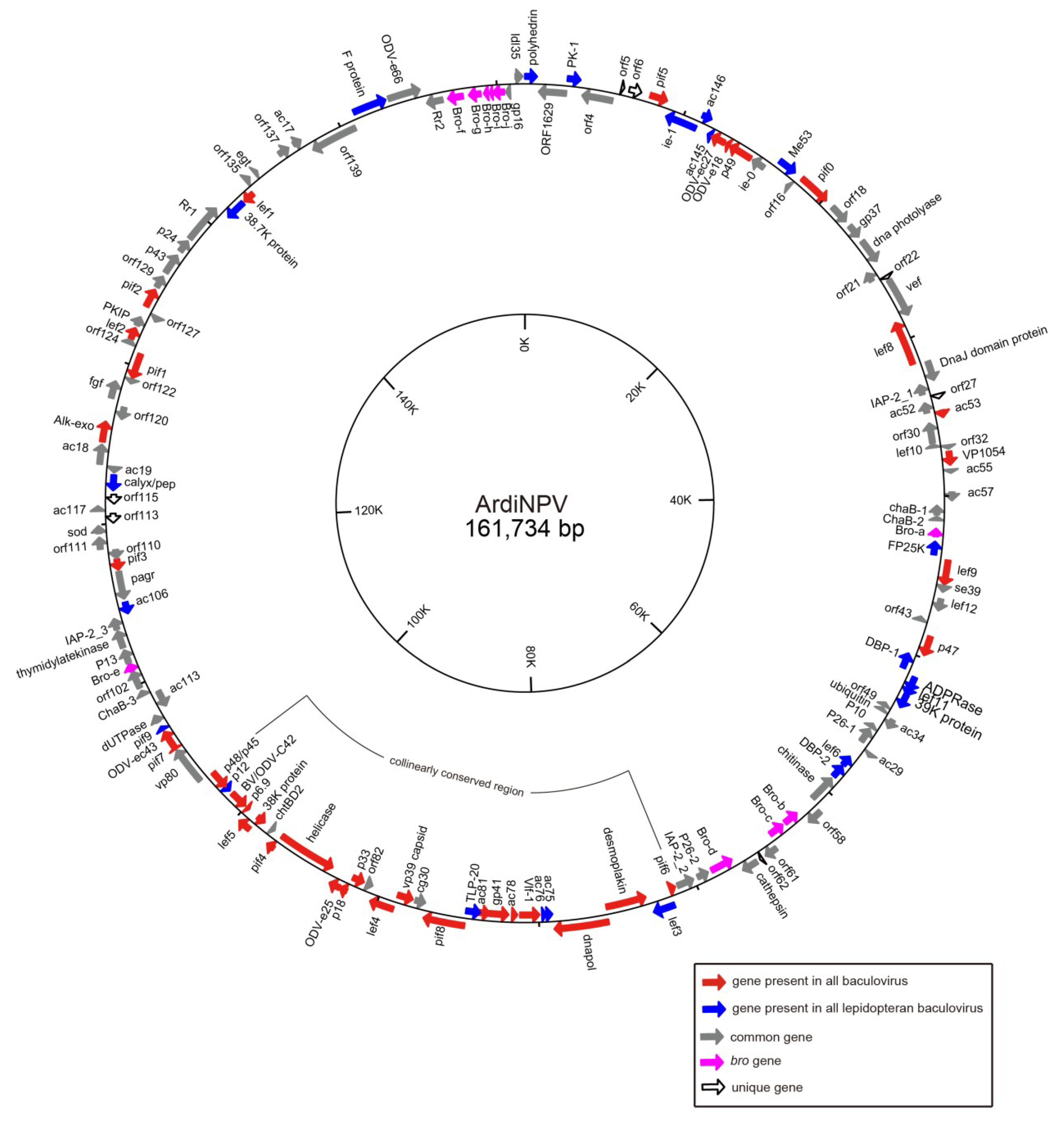 Viruses 11 00925 g001