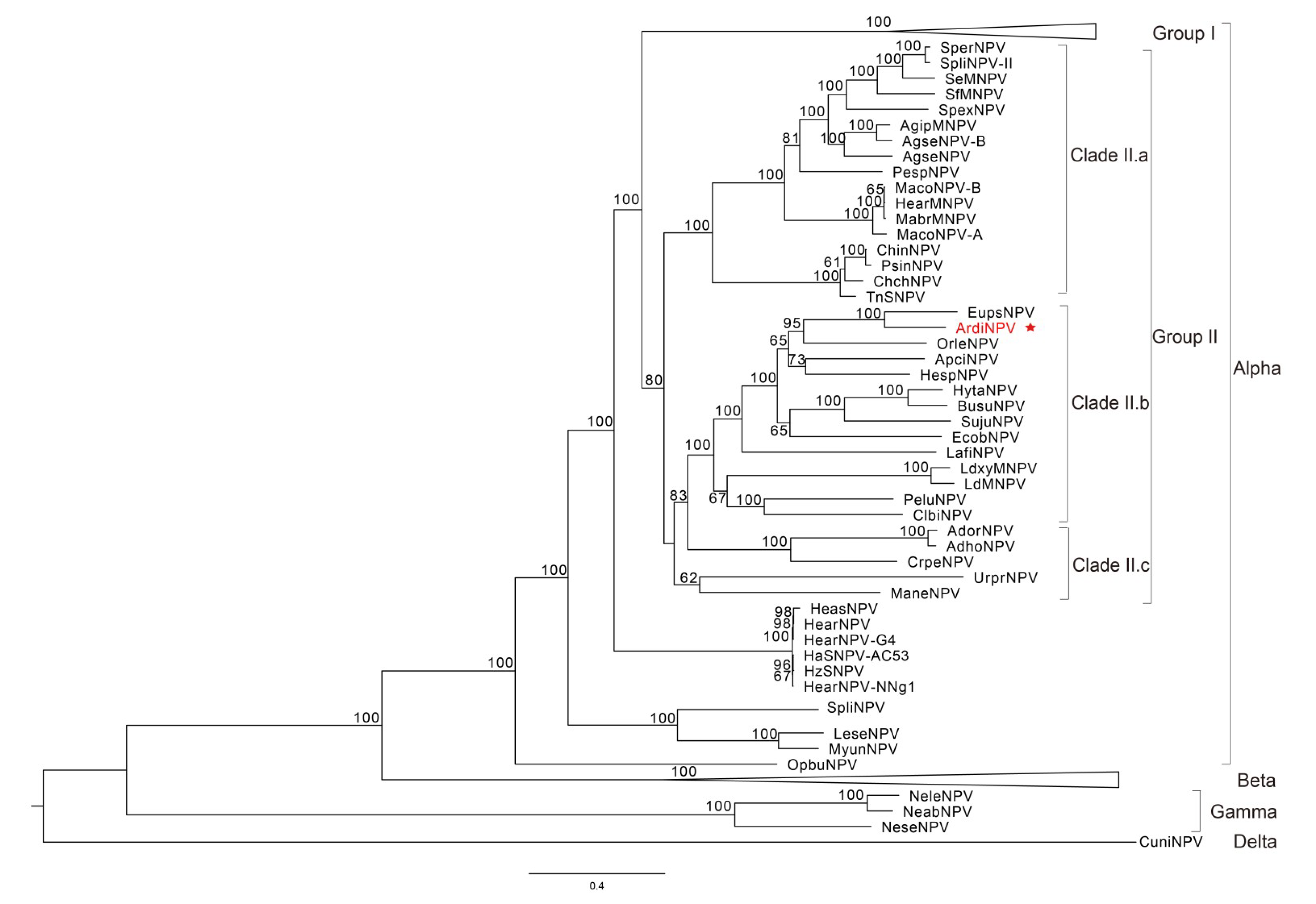 how are retroviruses unique from other types of viruses