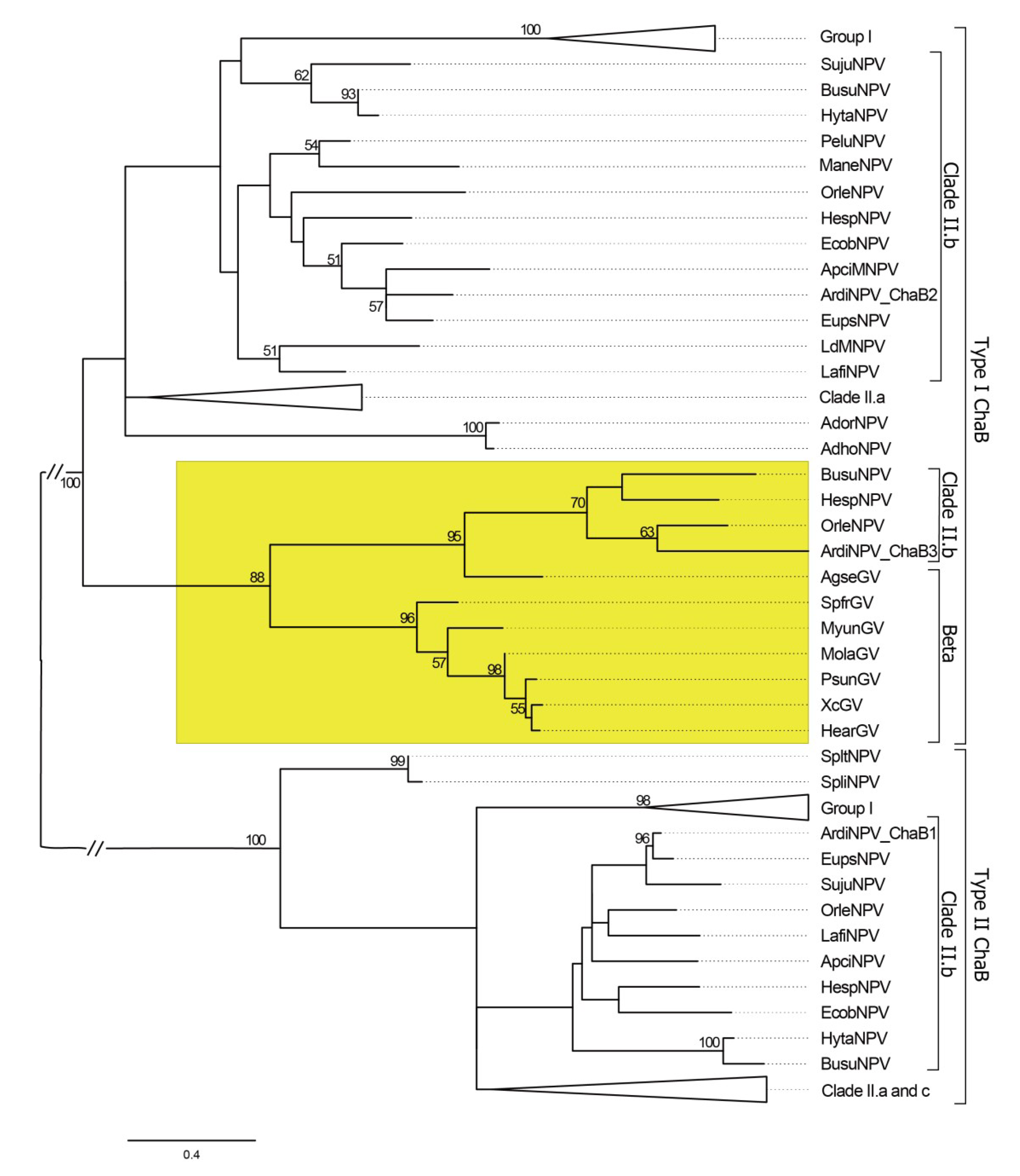 Viruses 11 00925 g004