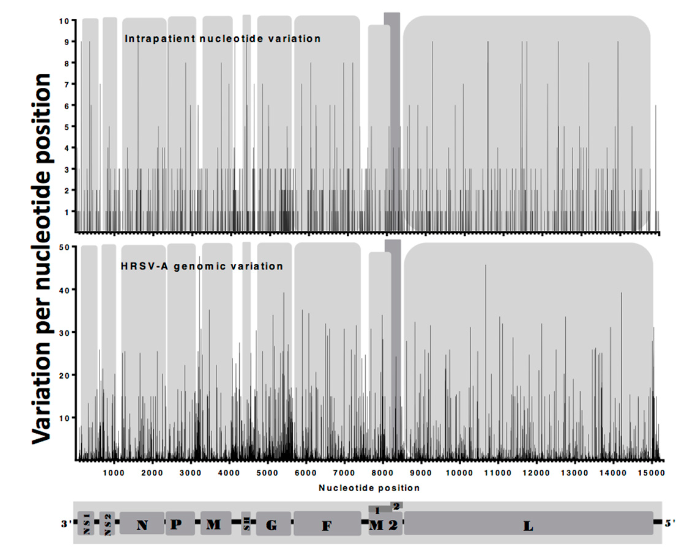 Viruses 11 00926 g006