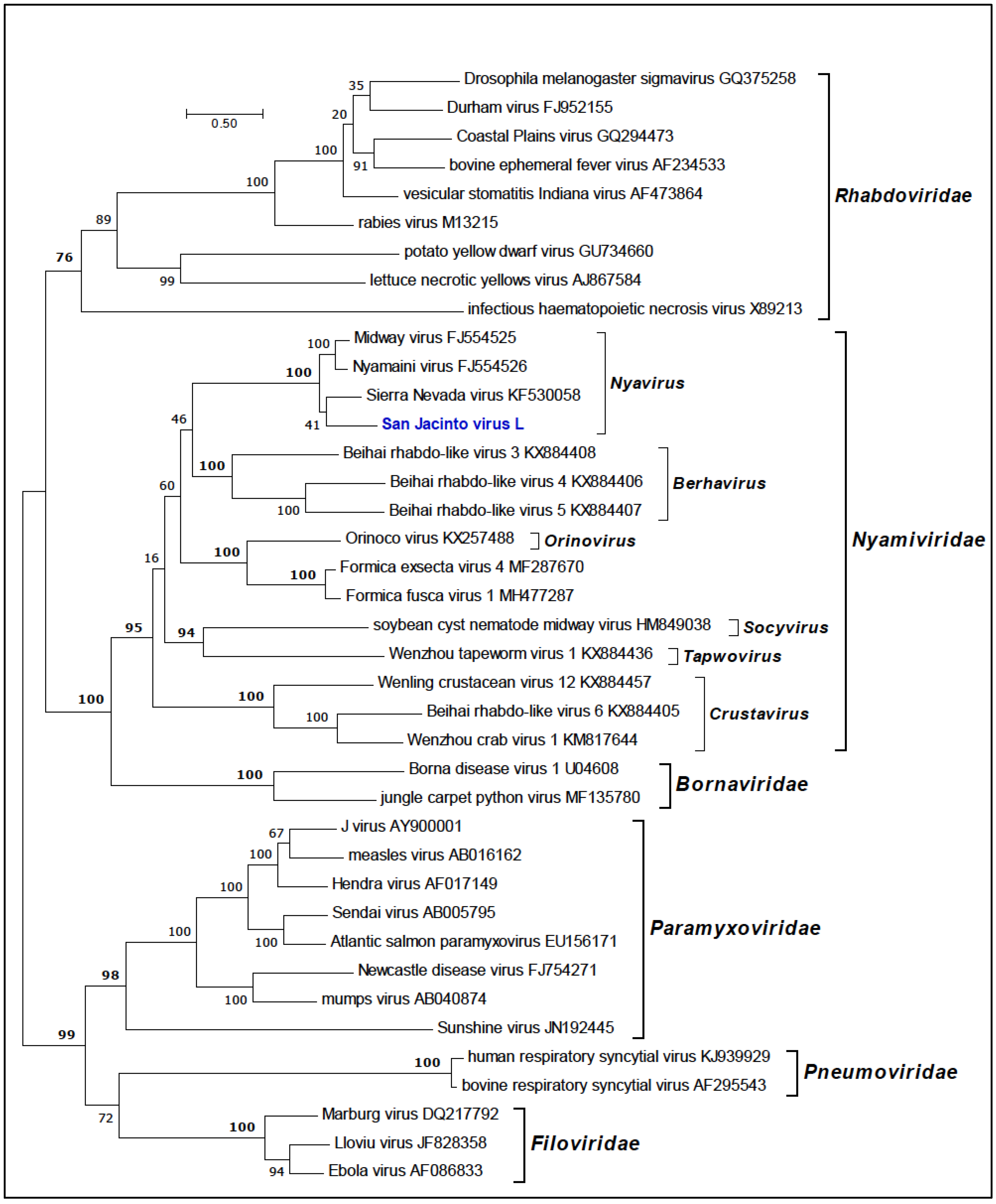 Viruses 11 00927 g003