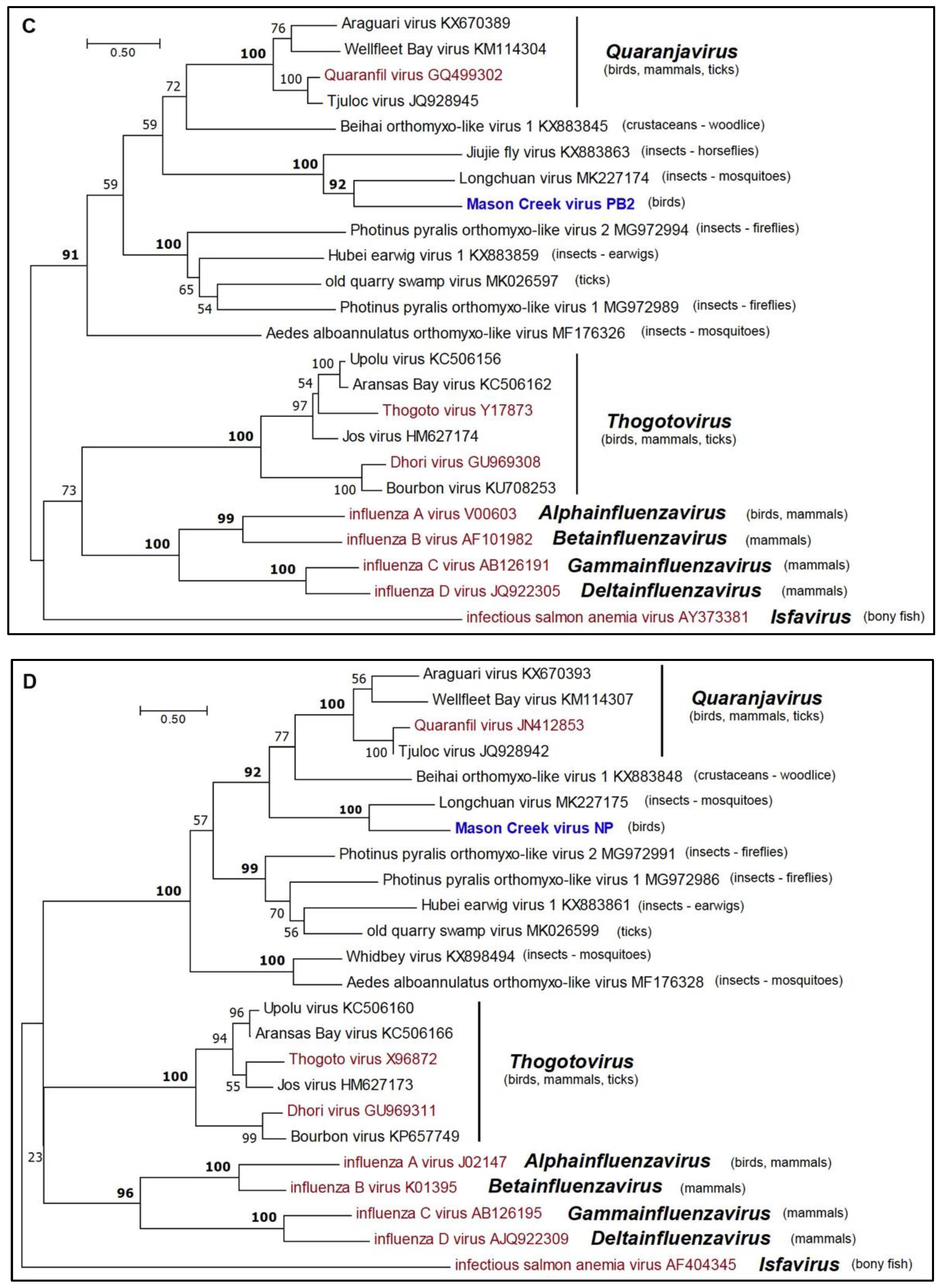Viruses 11 00927 g004b