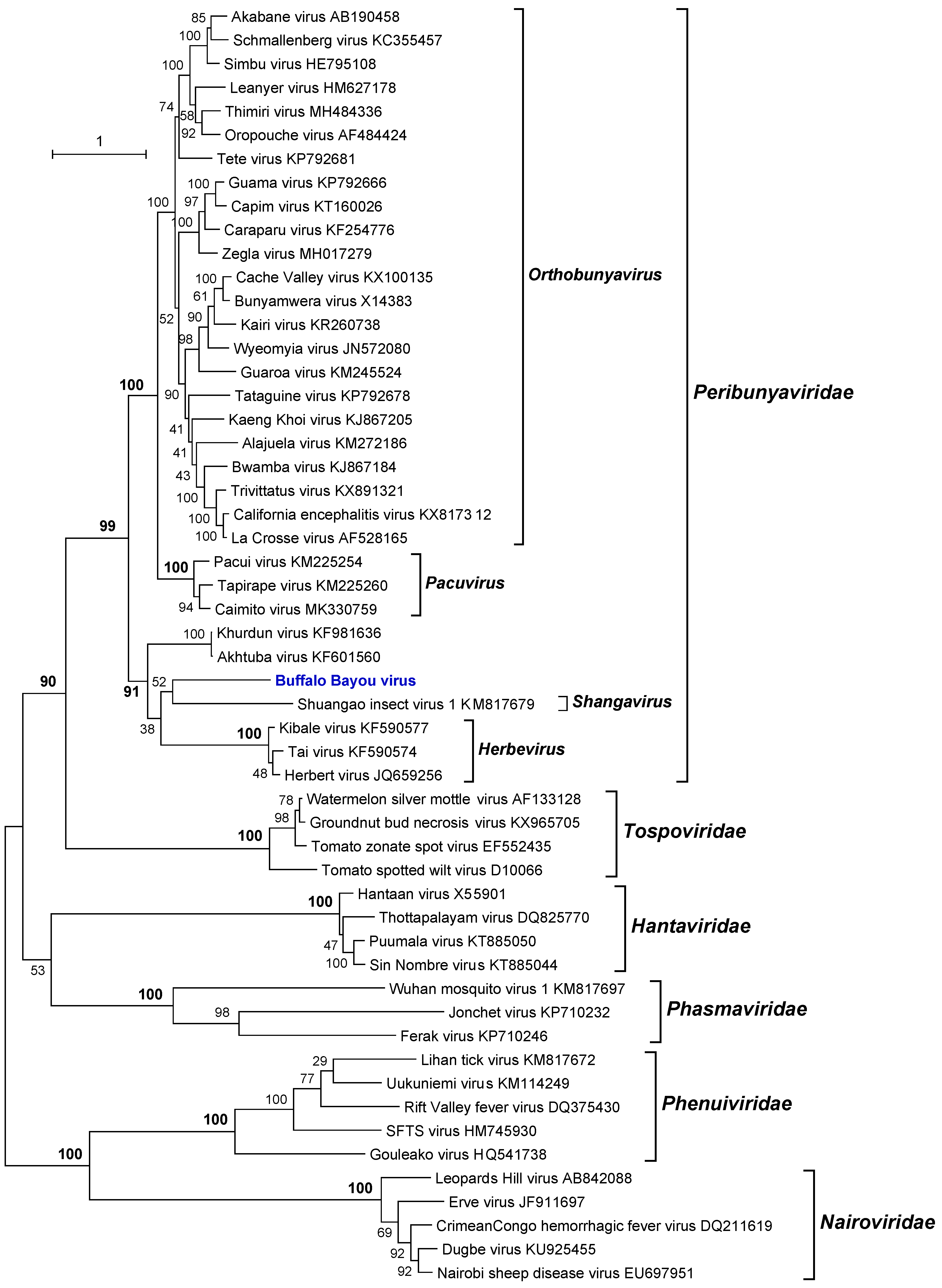 Viruses 11 00927 g005