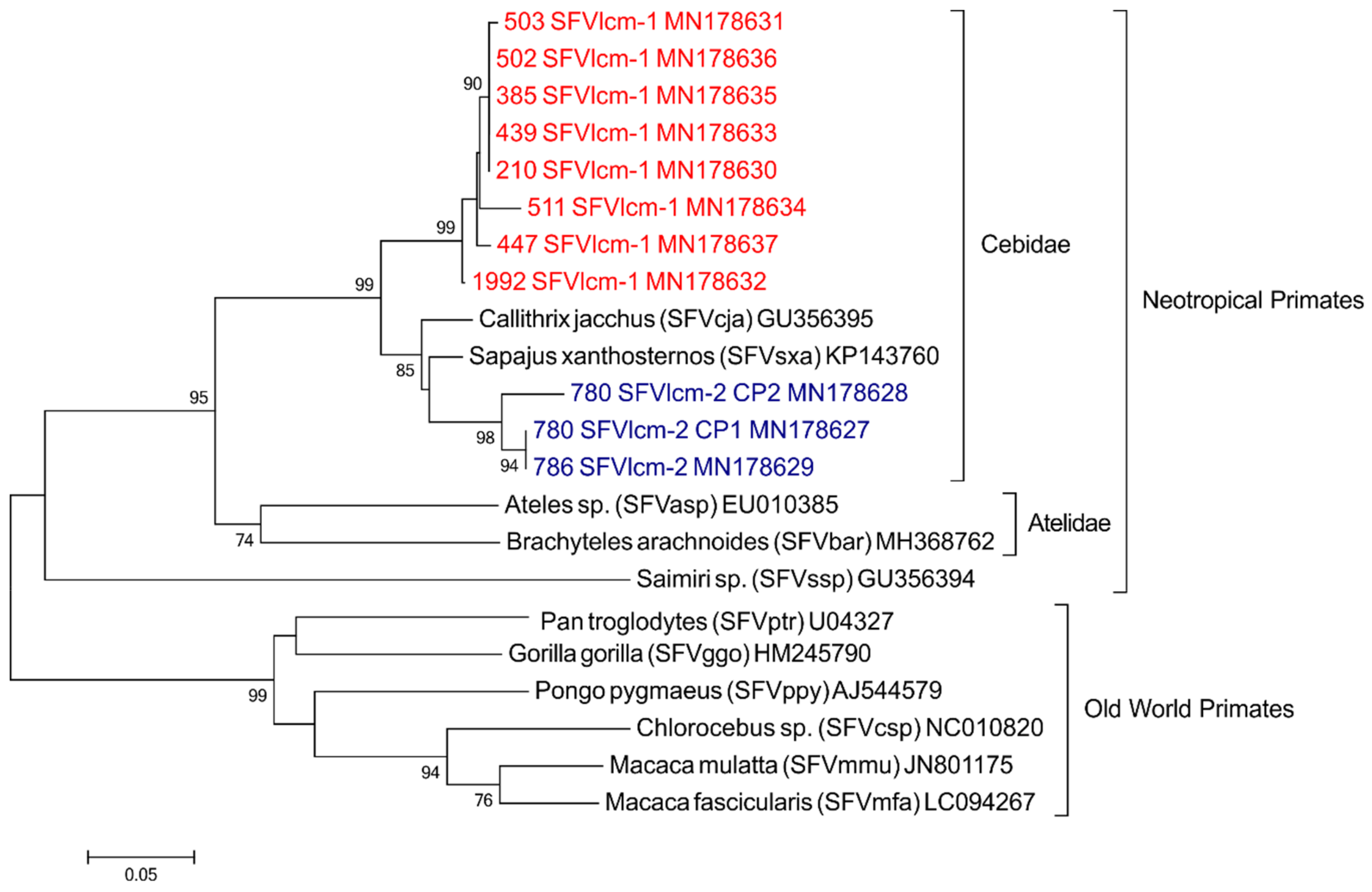 Viruses 11 00931 g001