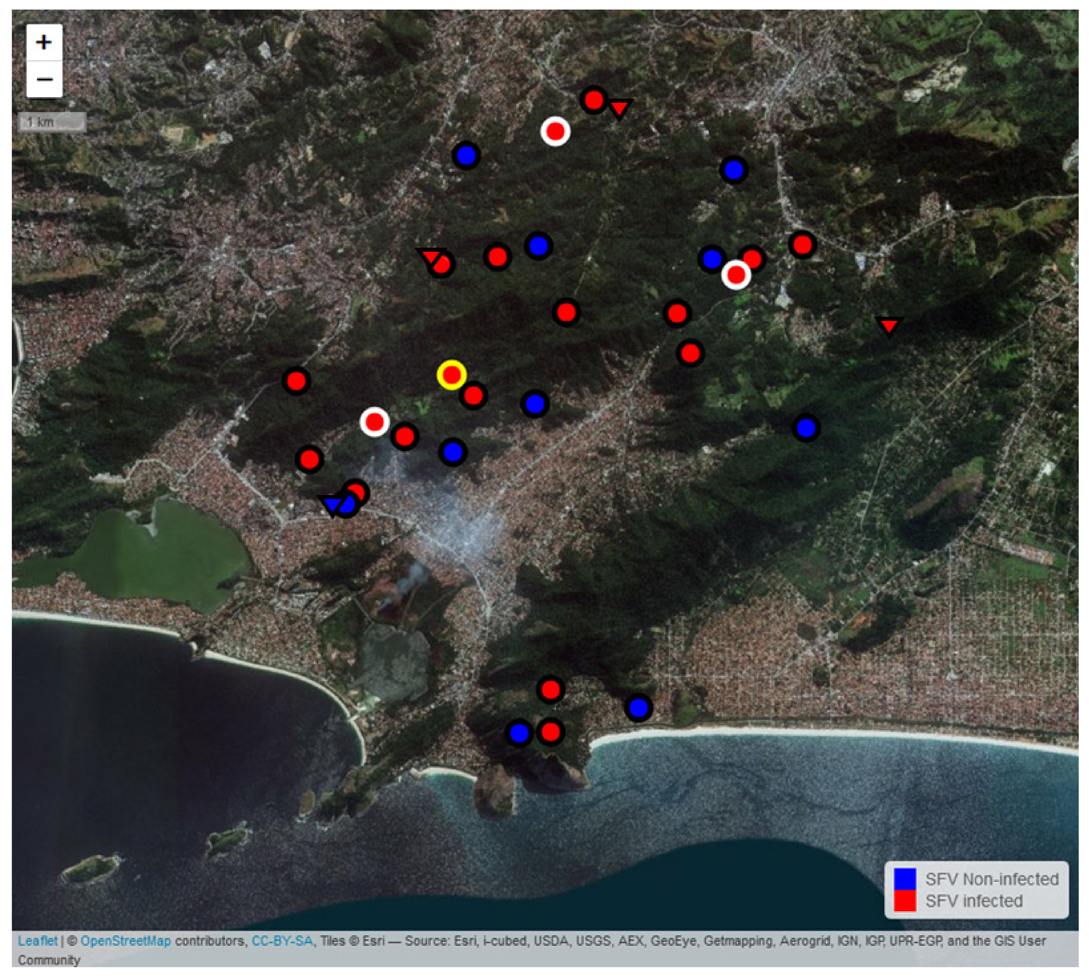 Viruses 11 00931 g002