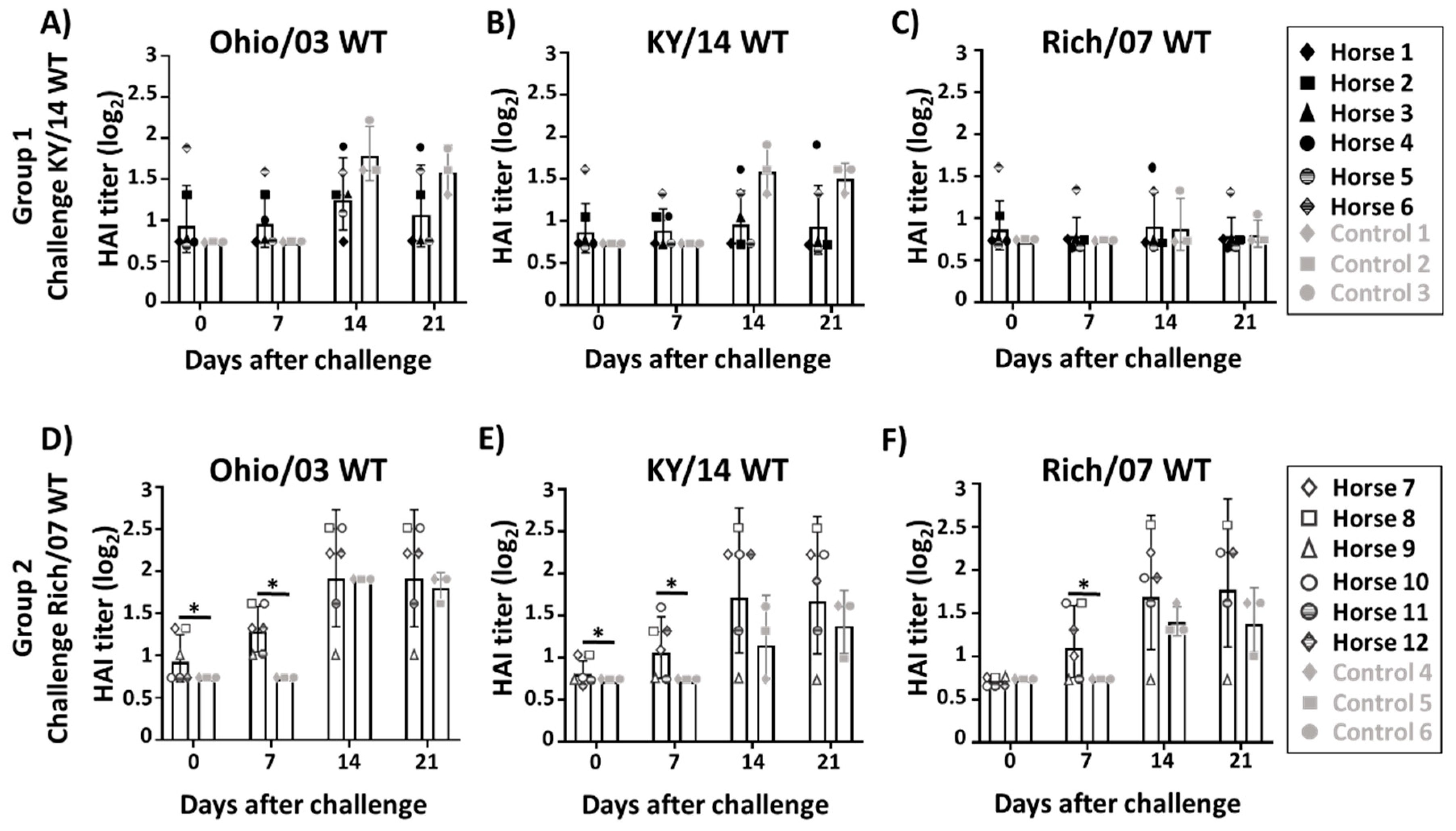 Viruses 11 00933 g007 Viruses 11 00933 g007