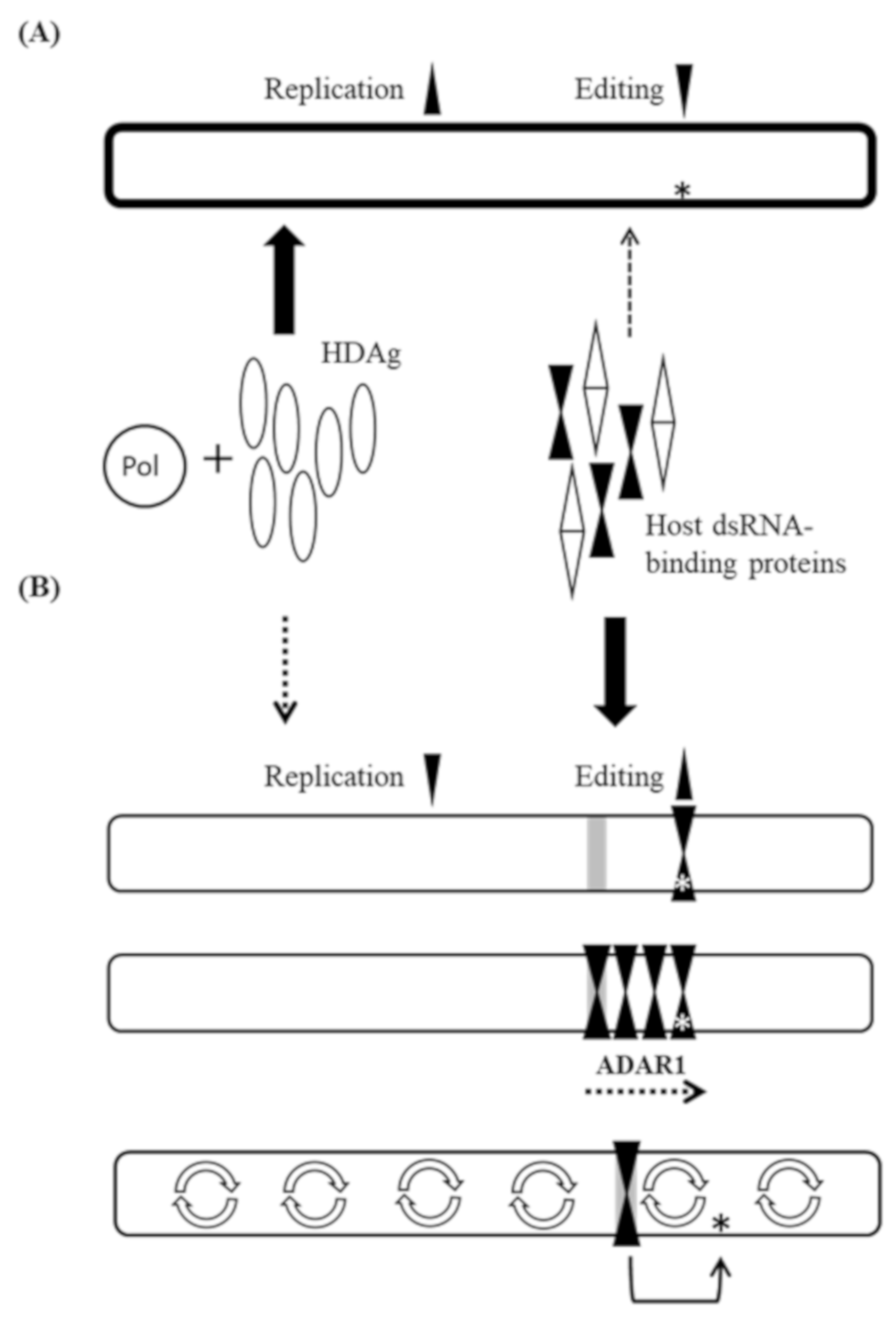 Viruses 11 00934 g005 Viruses 11 00934 g005