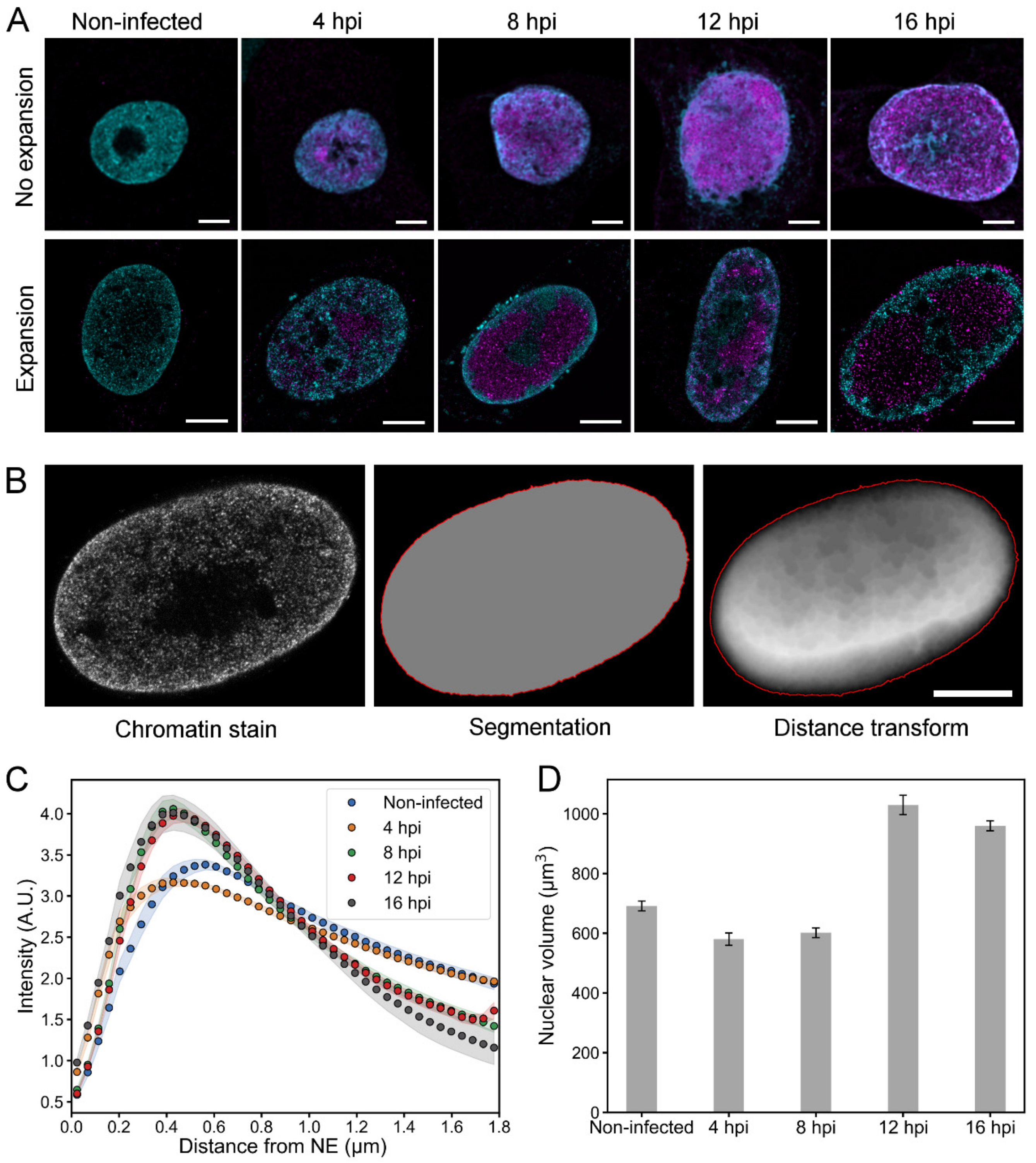 Viruses 11 00935 g003 Viruses 11 00935 g003
