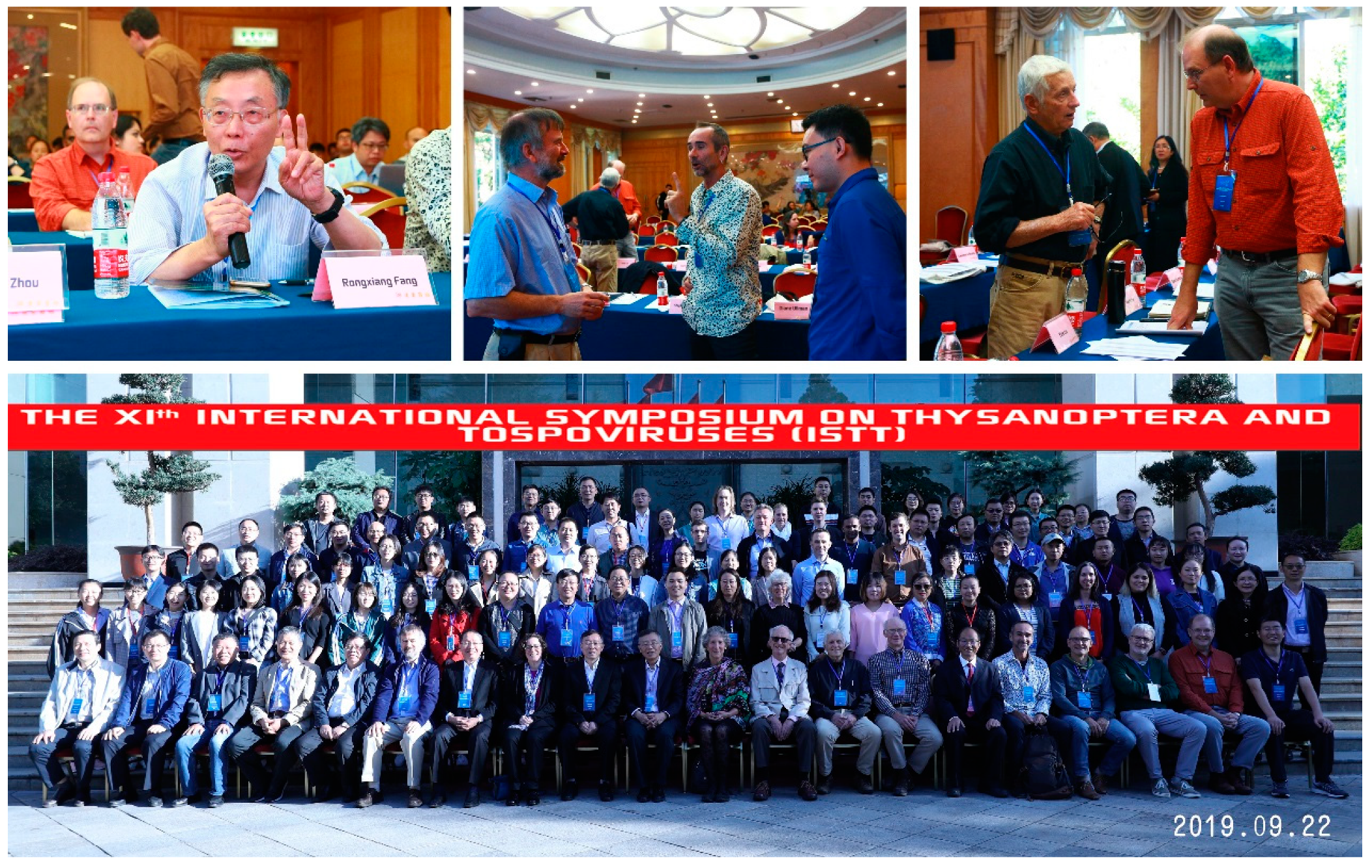 Viruses 11 00939 g003