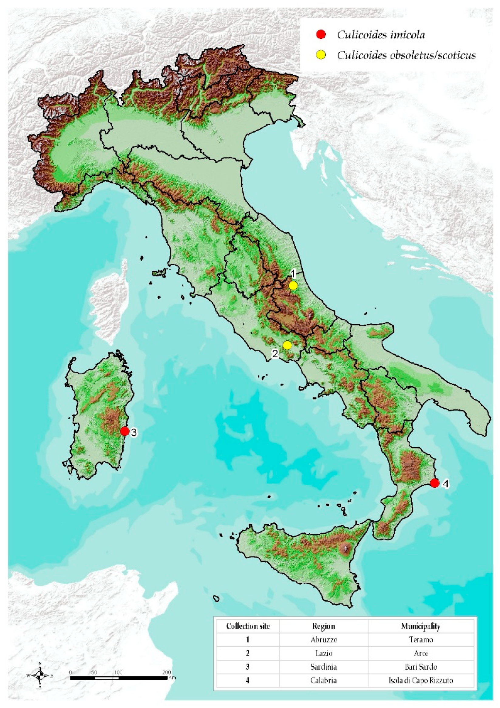 Viruses 11 00941 g001 Viruses 11 00941 g001