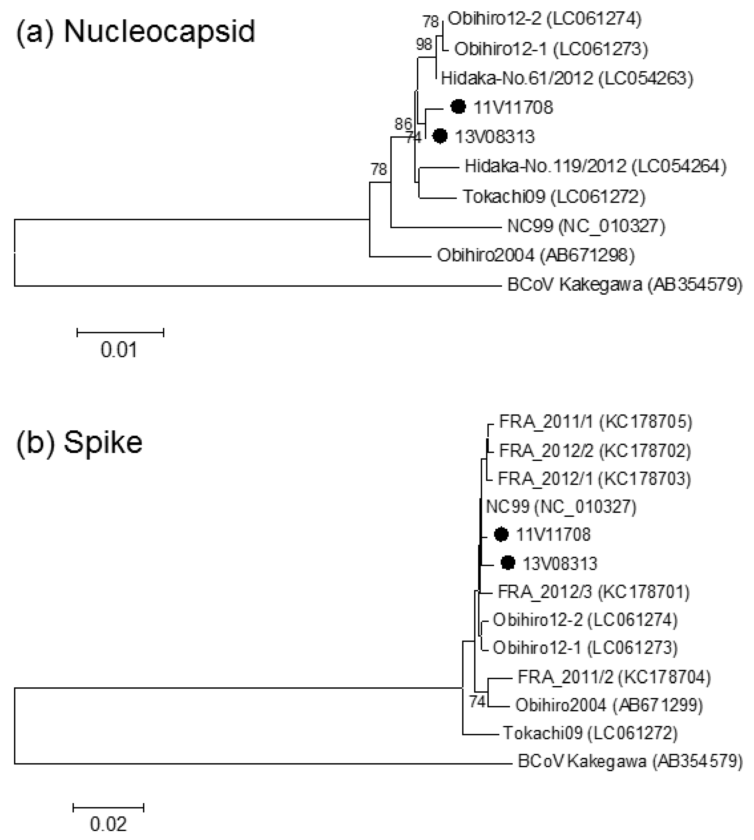 Viruses 11 00946 g001